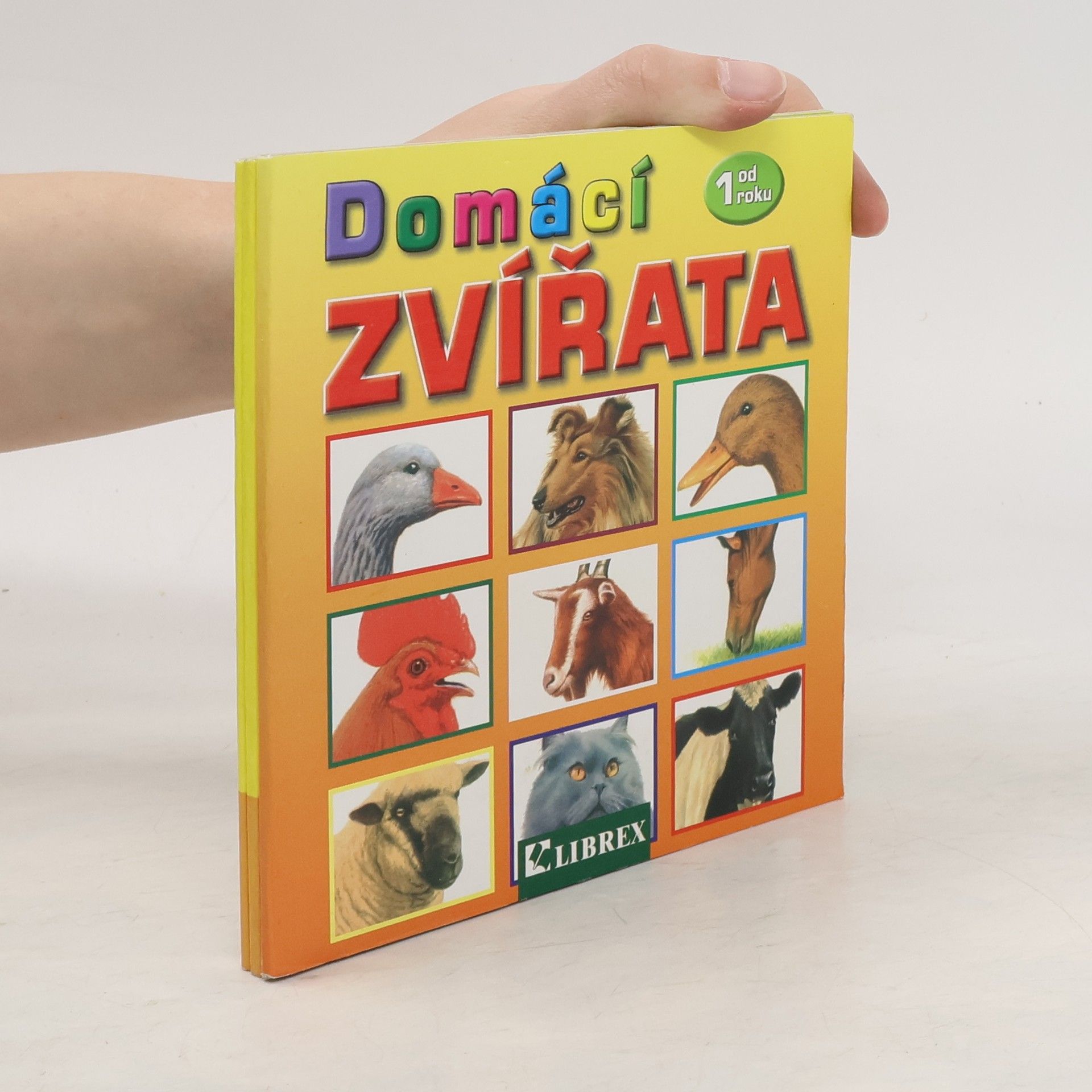 Kolektív autorov Domácí zvířata