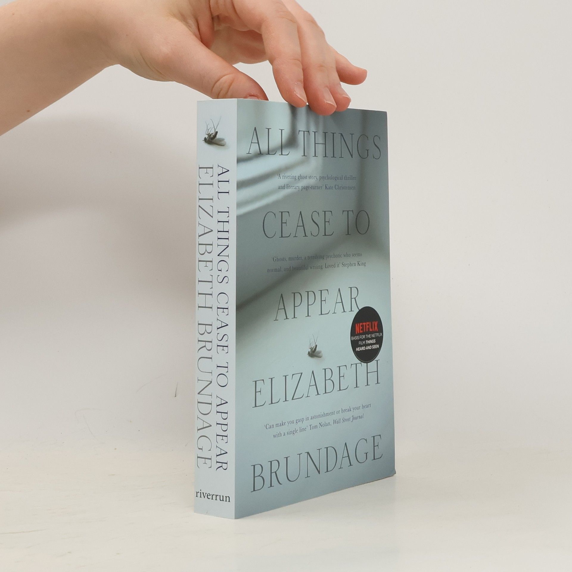 Brundage Elizabeth All Things Cease to Appear