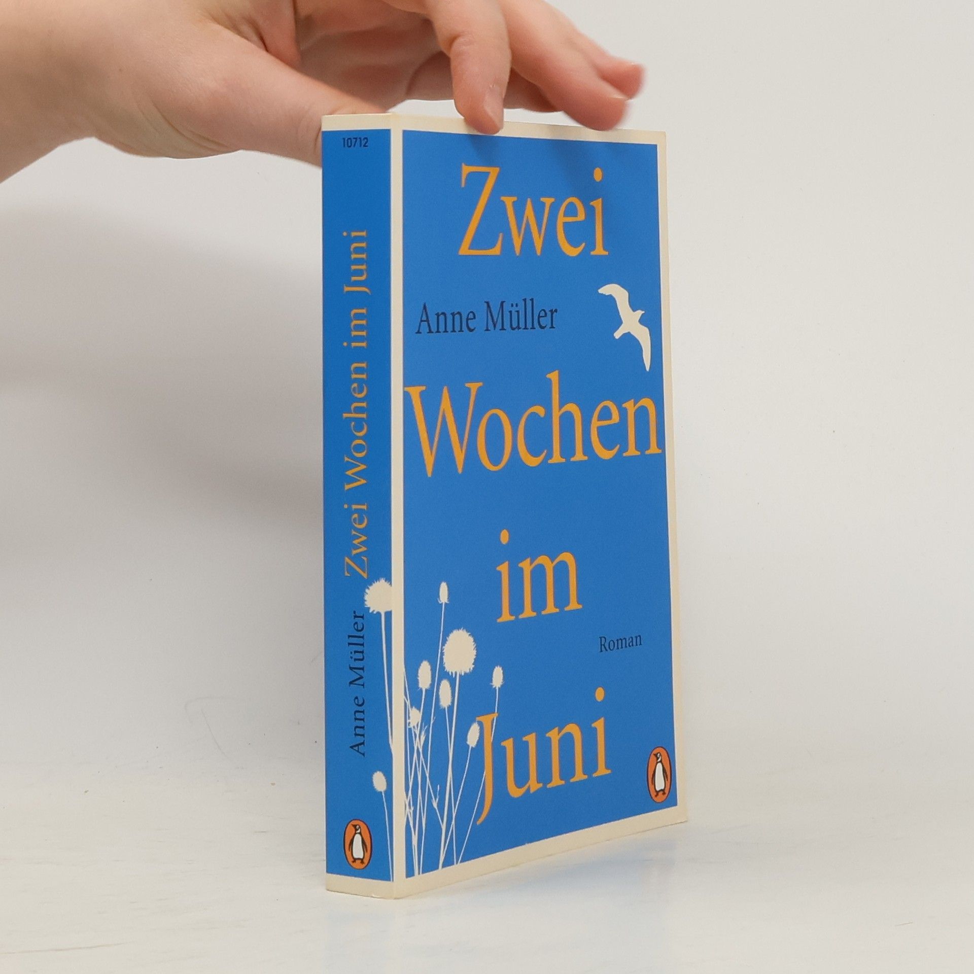 Anne Müller Zwei Wochen im Juni