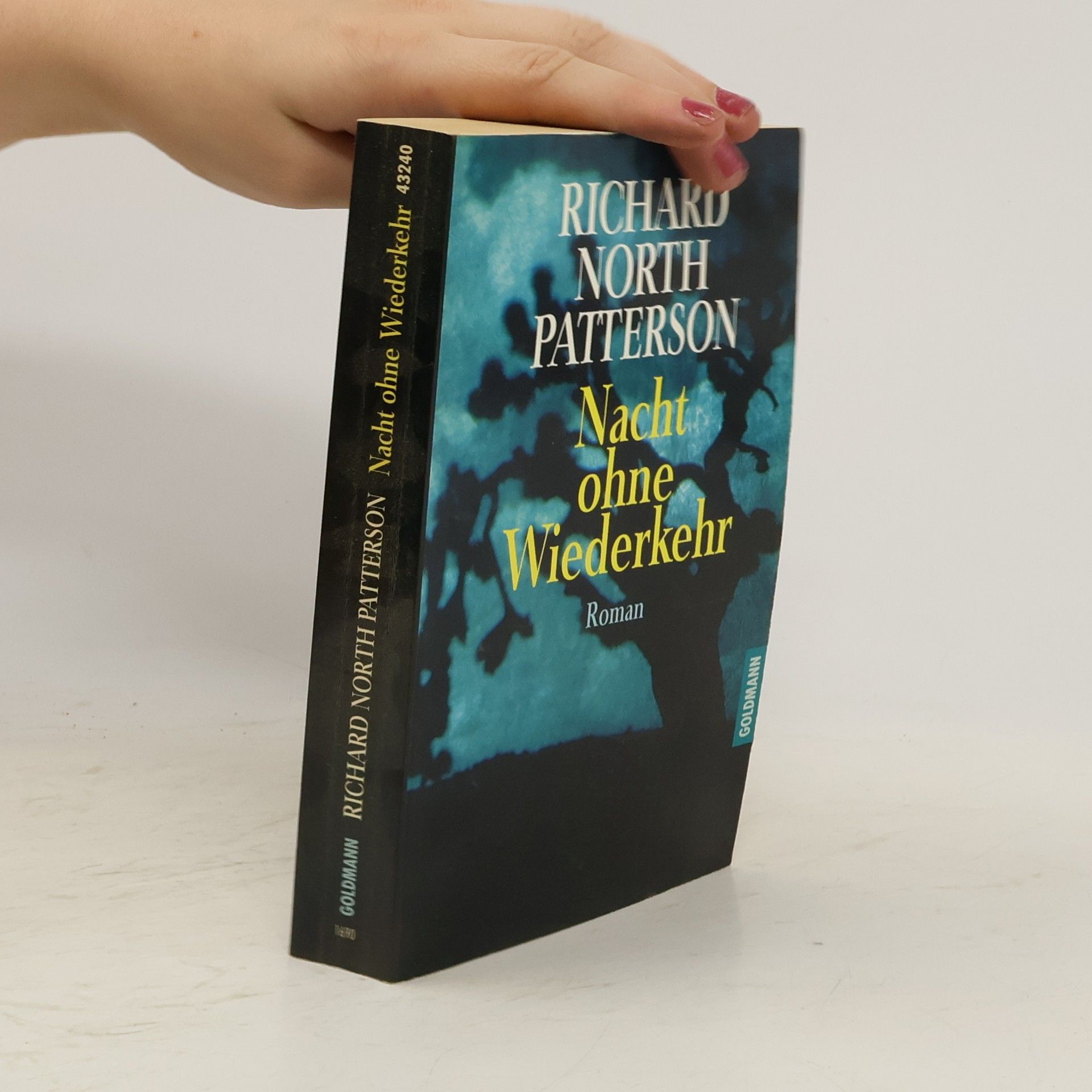 Richard North Patterson Nacht ohne Wiederkehr