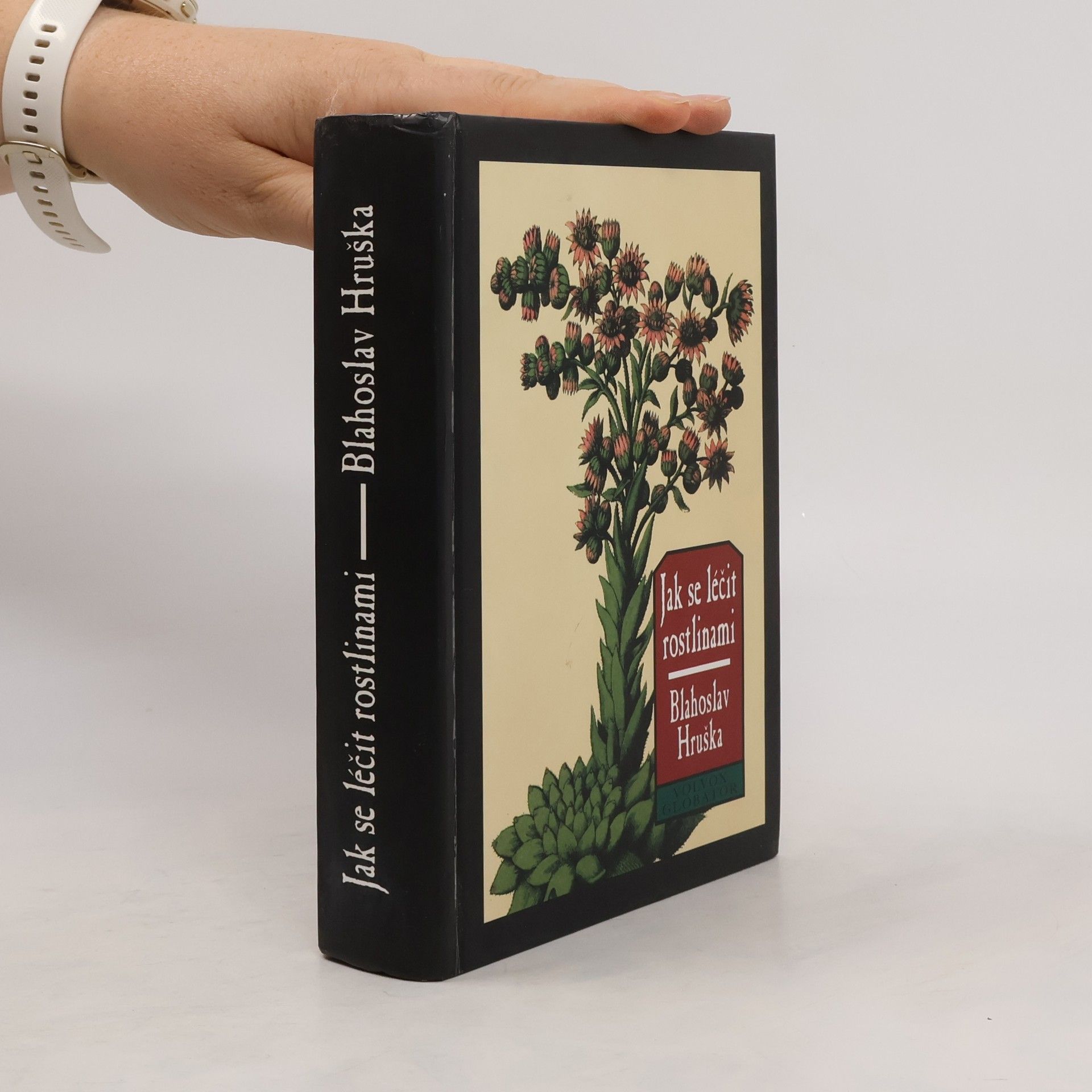 Blahoslav Hruška Jak se léčit rostlinami