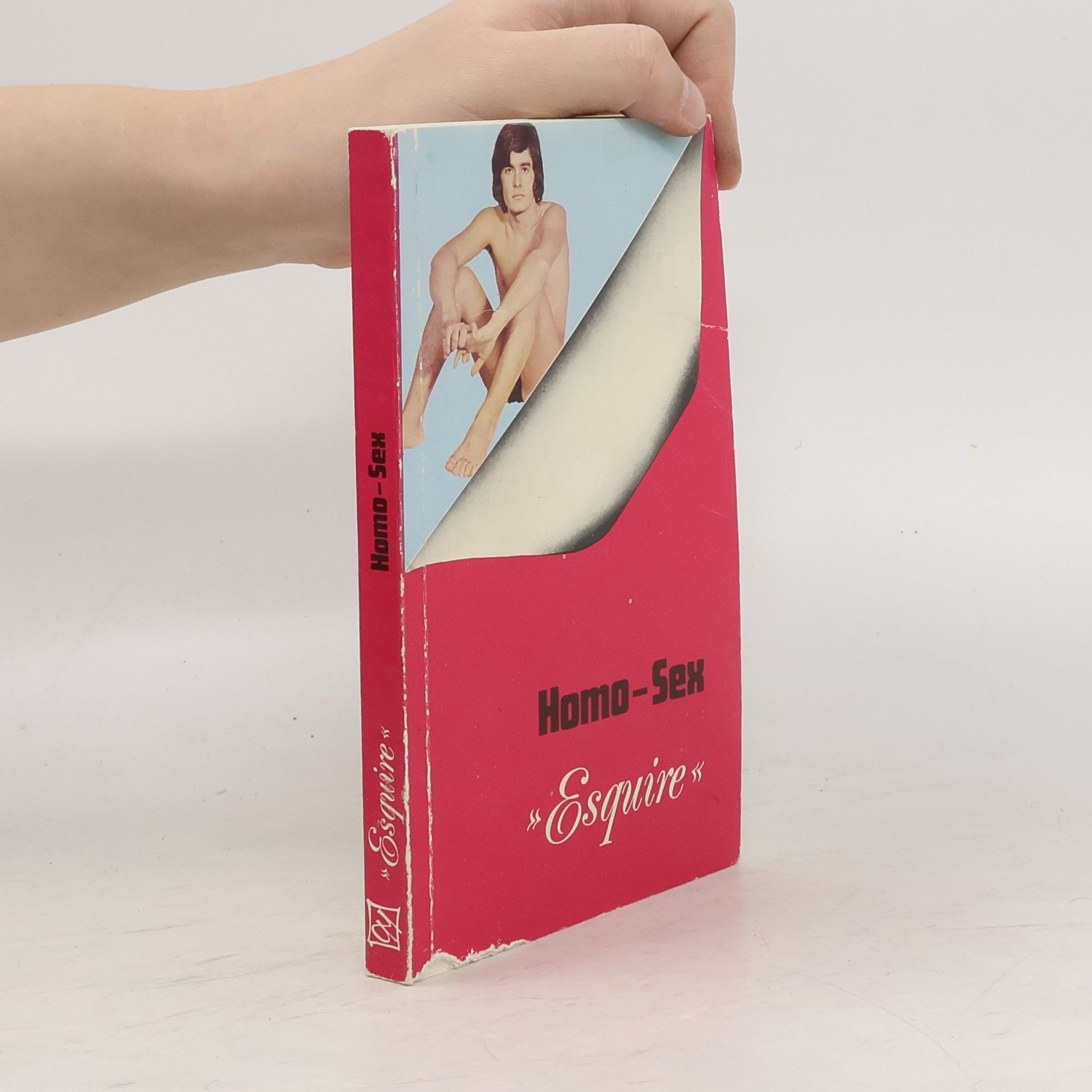 Autorenkollektiv Homo-Sex Esquire