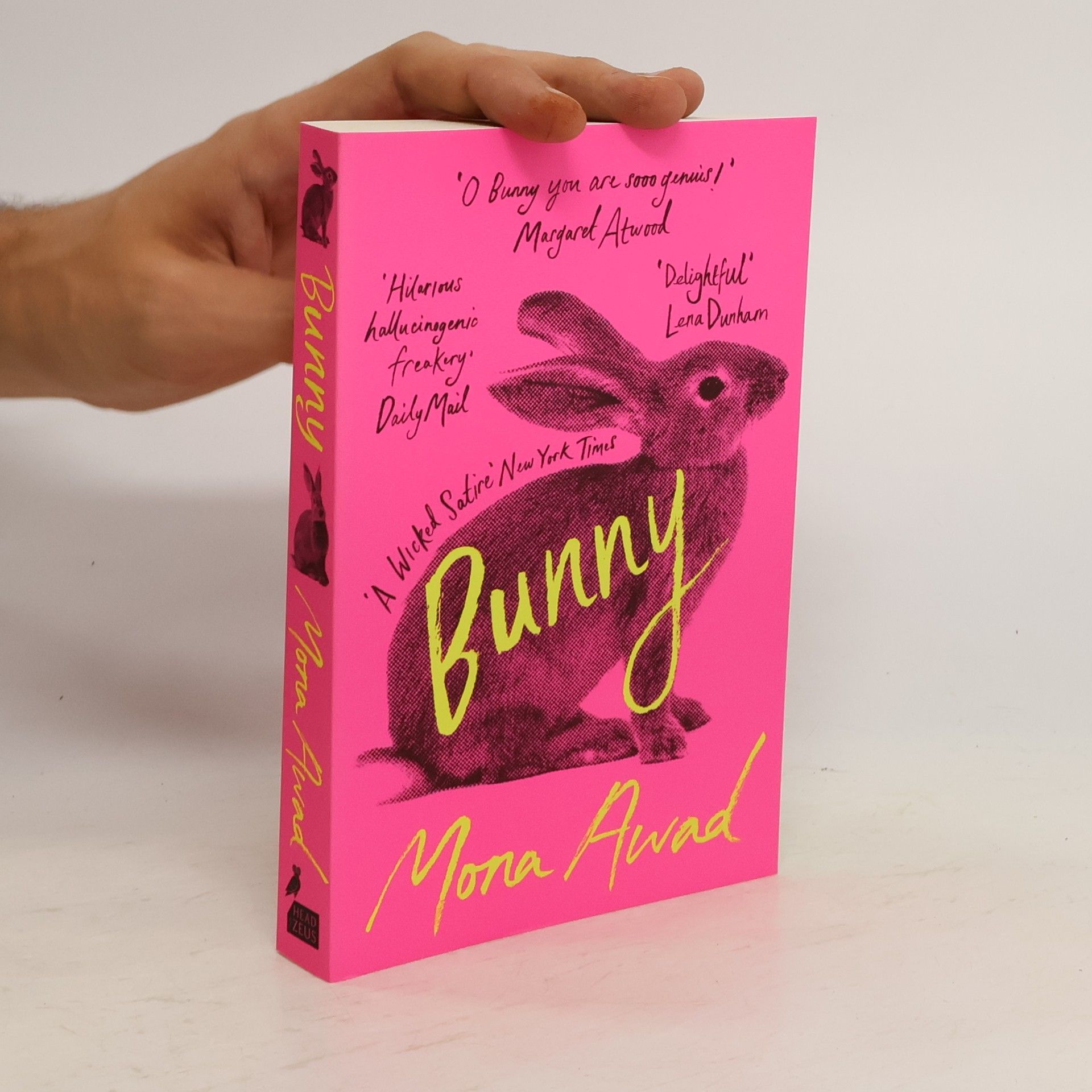 Mona Awad Bunny