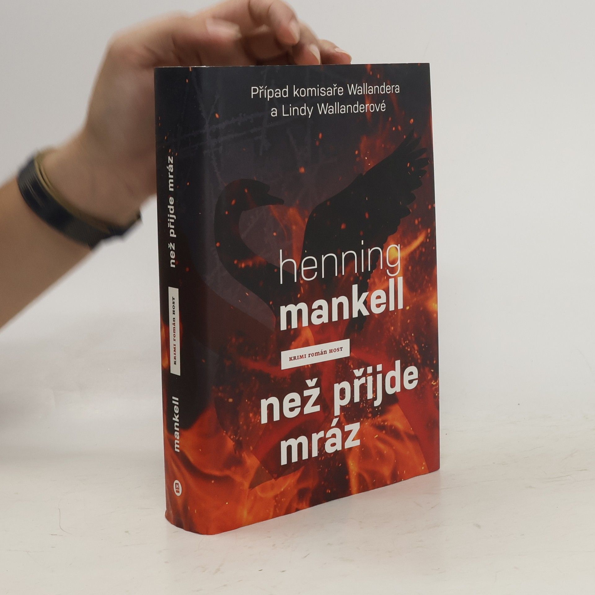 Henning Mankell Než přijde mráz