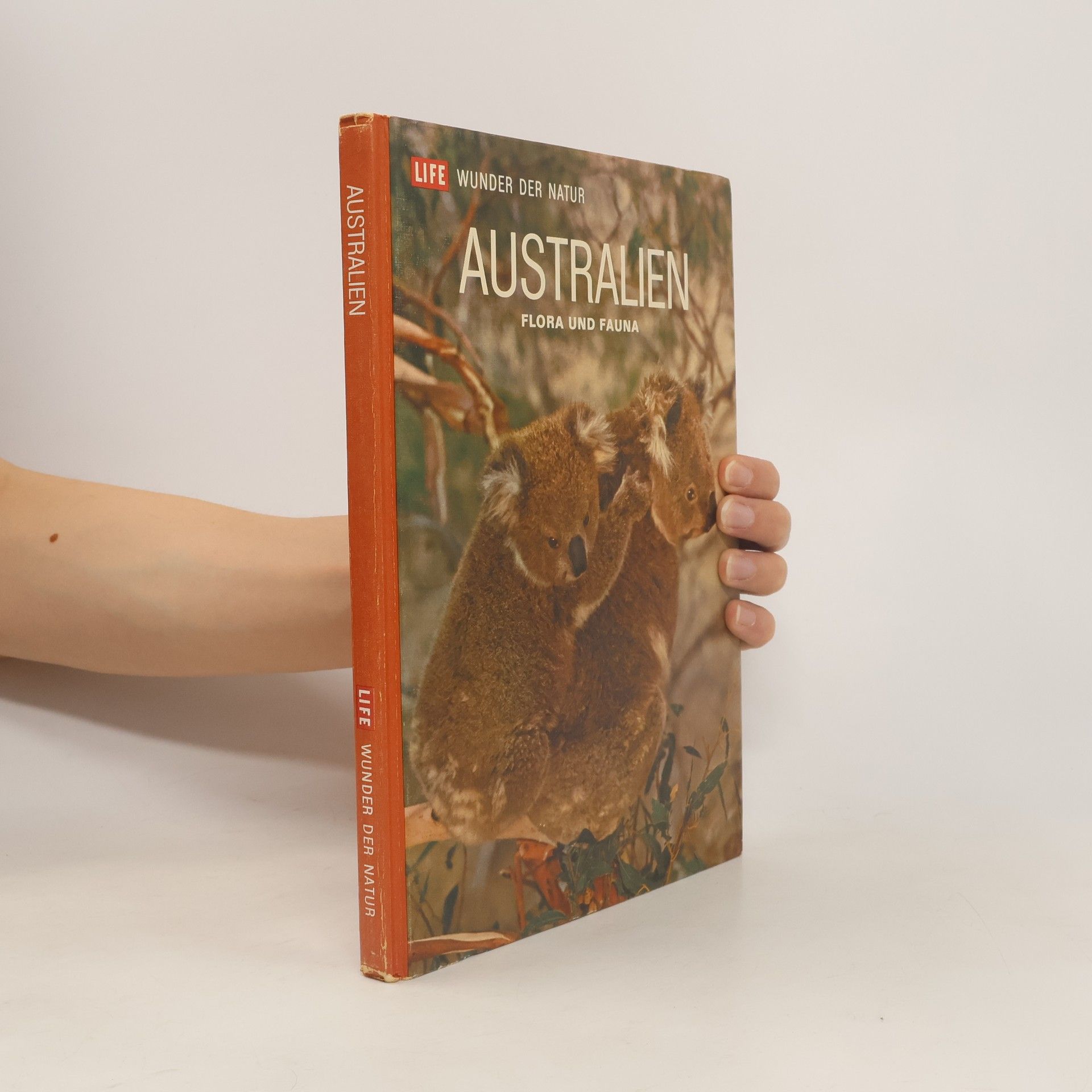 Collectif d'auteurs Australien: Flora und Fauna