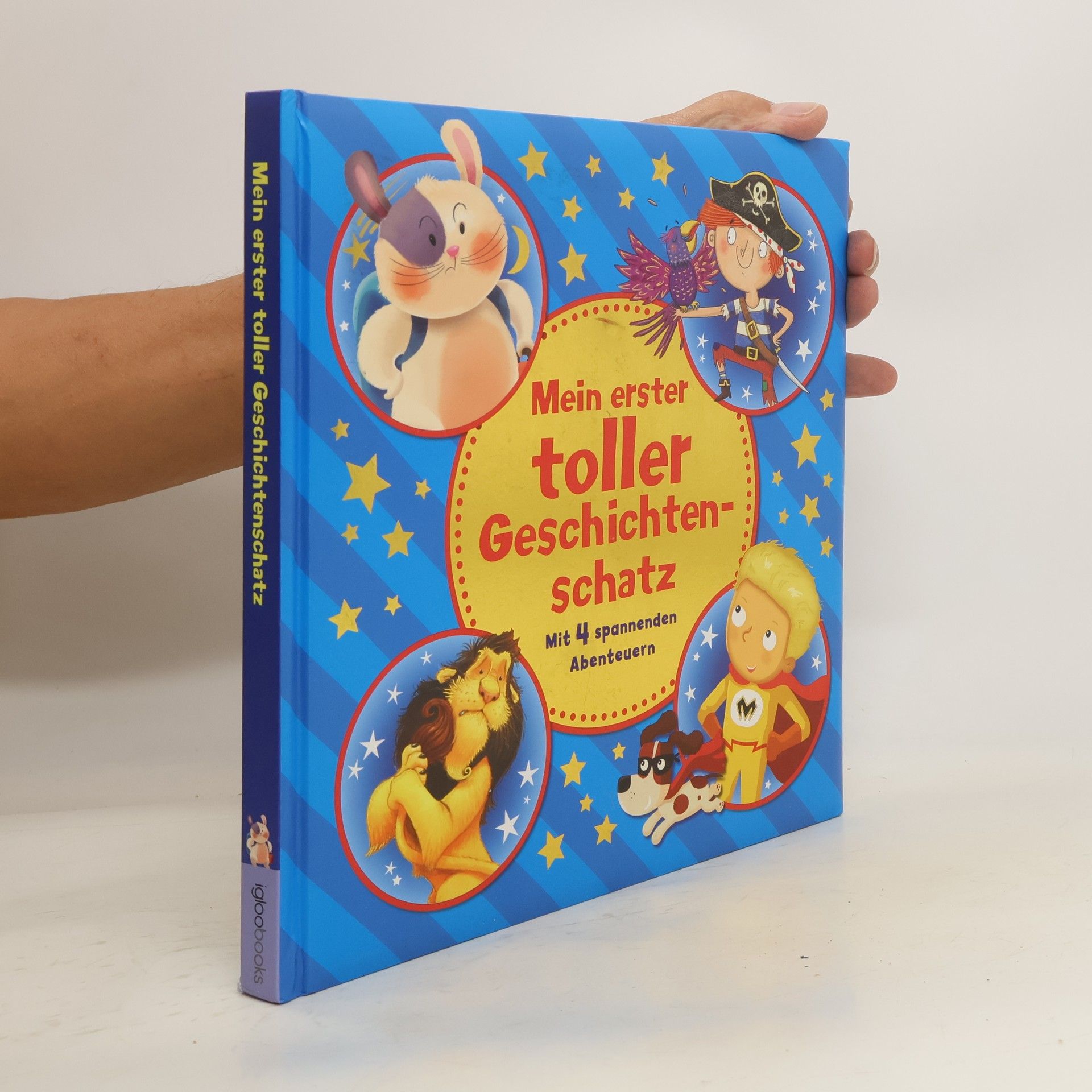 Autorenkollektiv Mein erster toller Geschichtenschatz