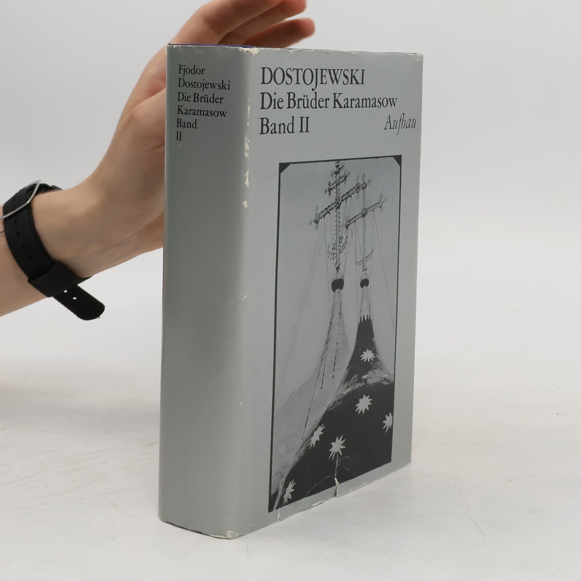 Fyodor Dostoyevsky Die Brüder Karamasow