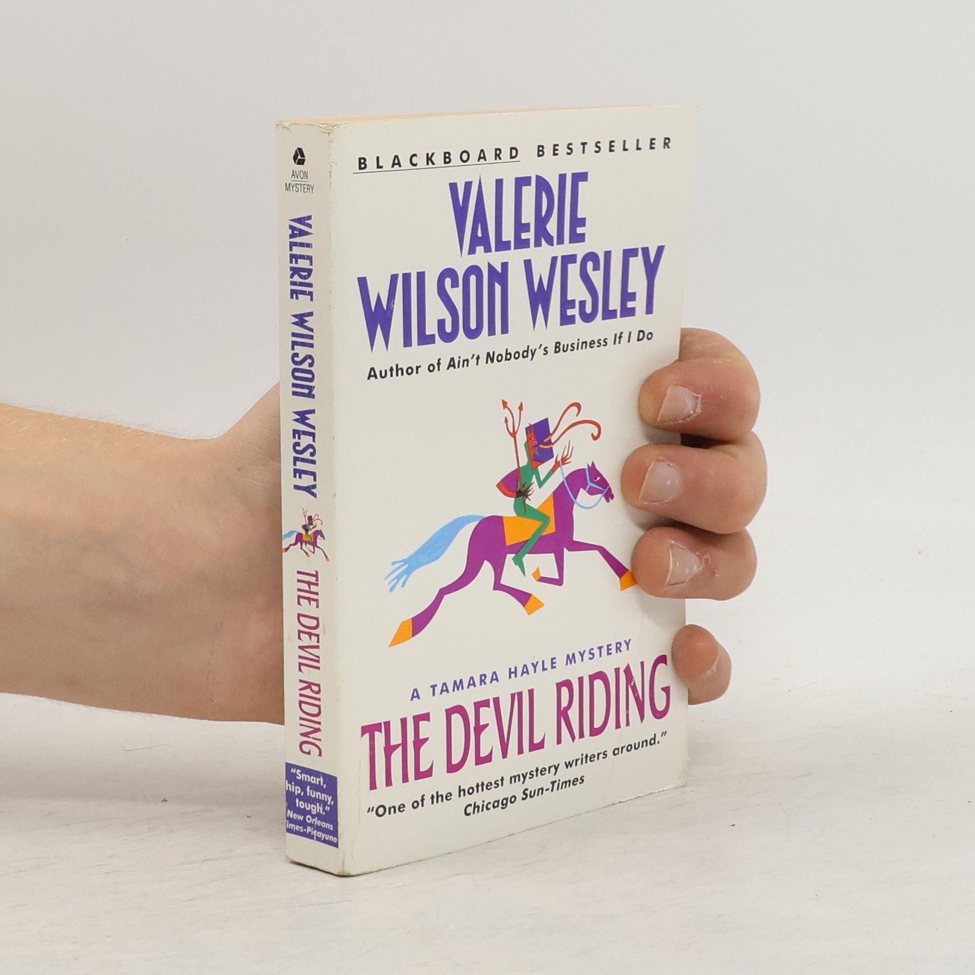 Valerie Wilson Wesley Tamara Hayle Mystery: The Devil Riding