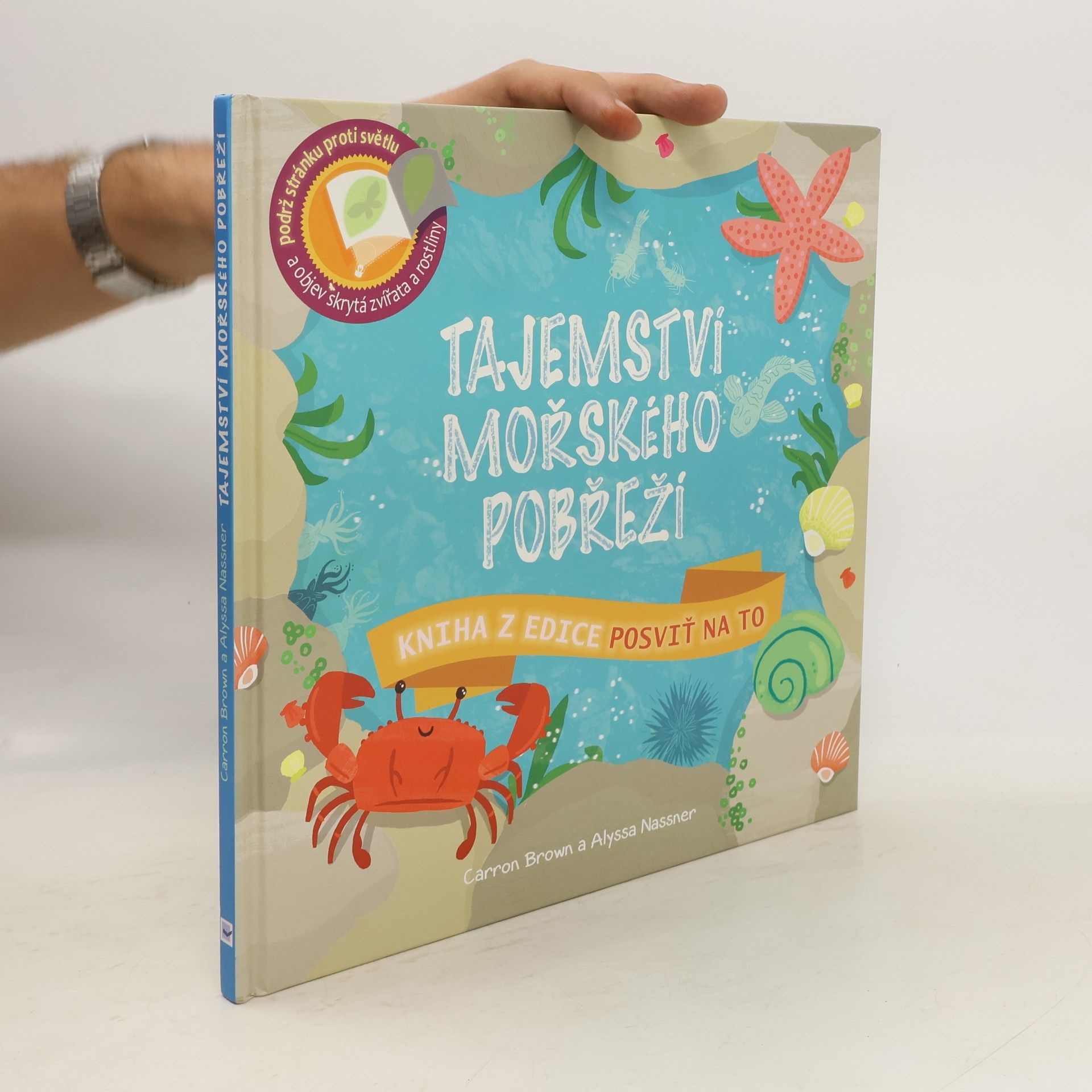 Carron Brown Tajemství mořského pobřeží