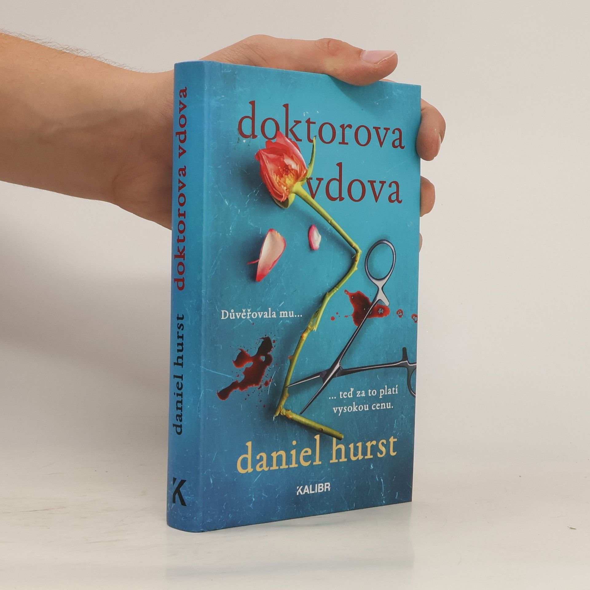 Daniel Hürst Doktorova vdova