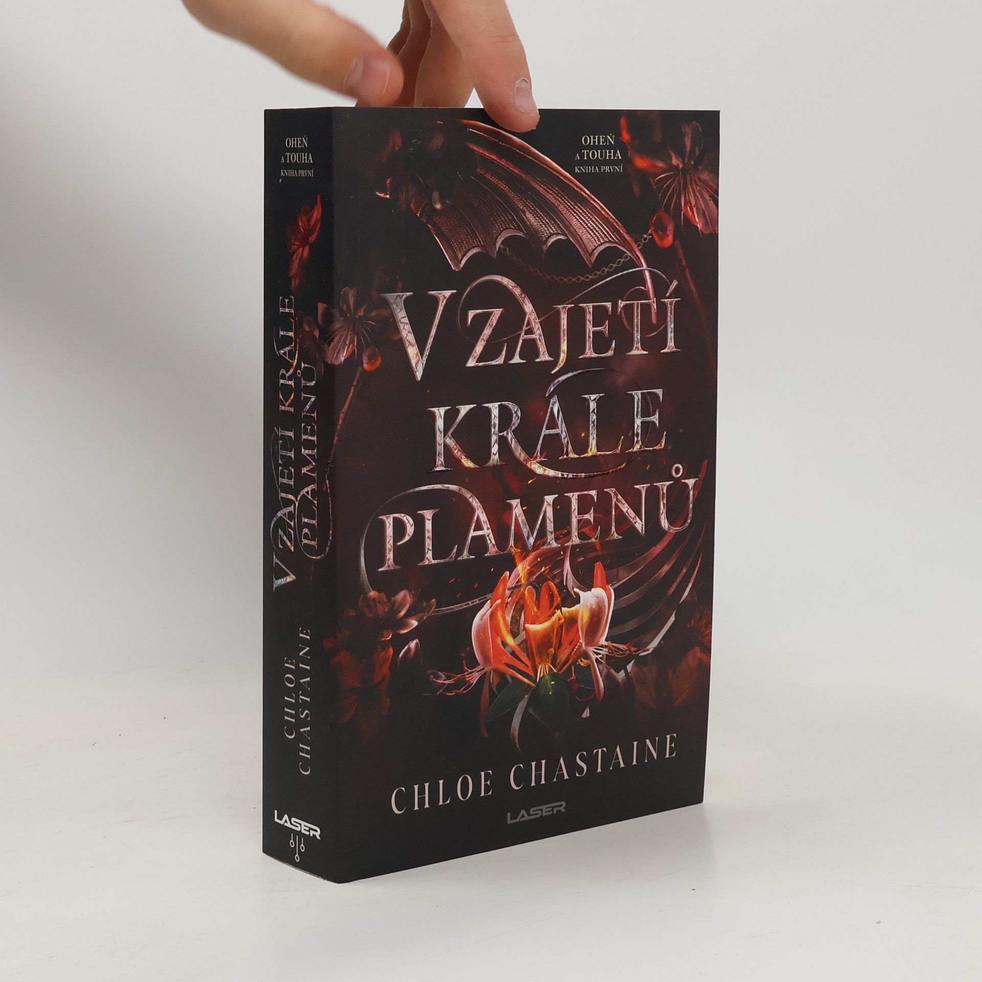Chloe Chastaine V zajetí krále plamenů