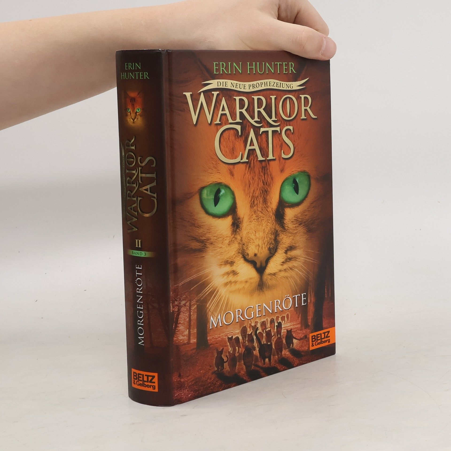 Erin Hunter Warrior Cats - Morgenröte