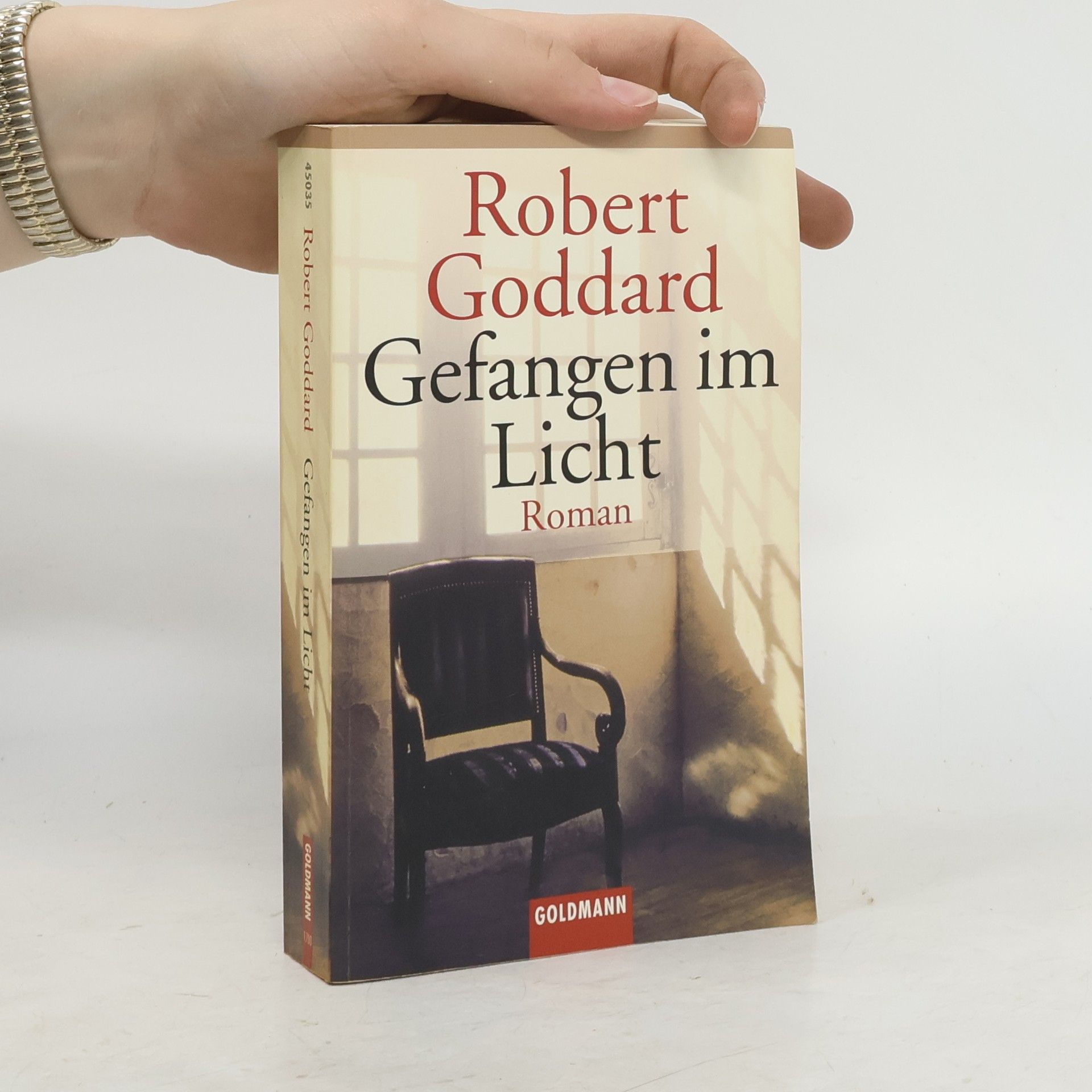 Robert Goddard Gefangen im Licht
