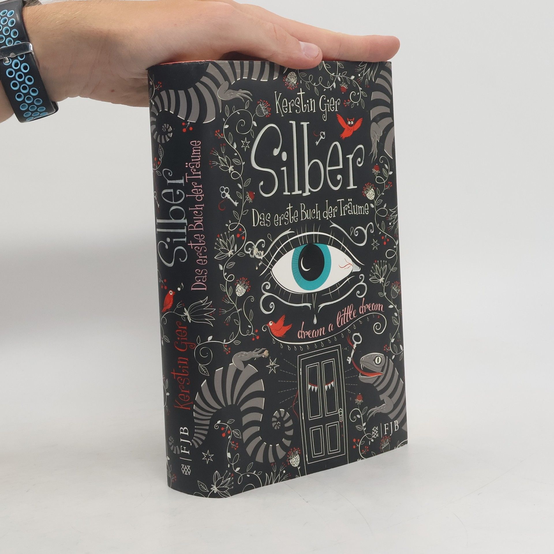 Kerstin Gier Silber: Das erste Buch der Träume