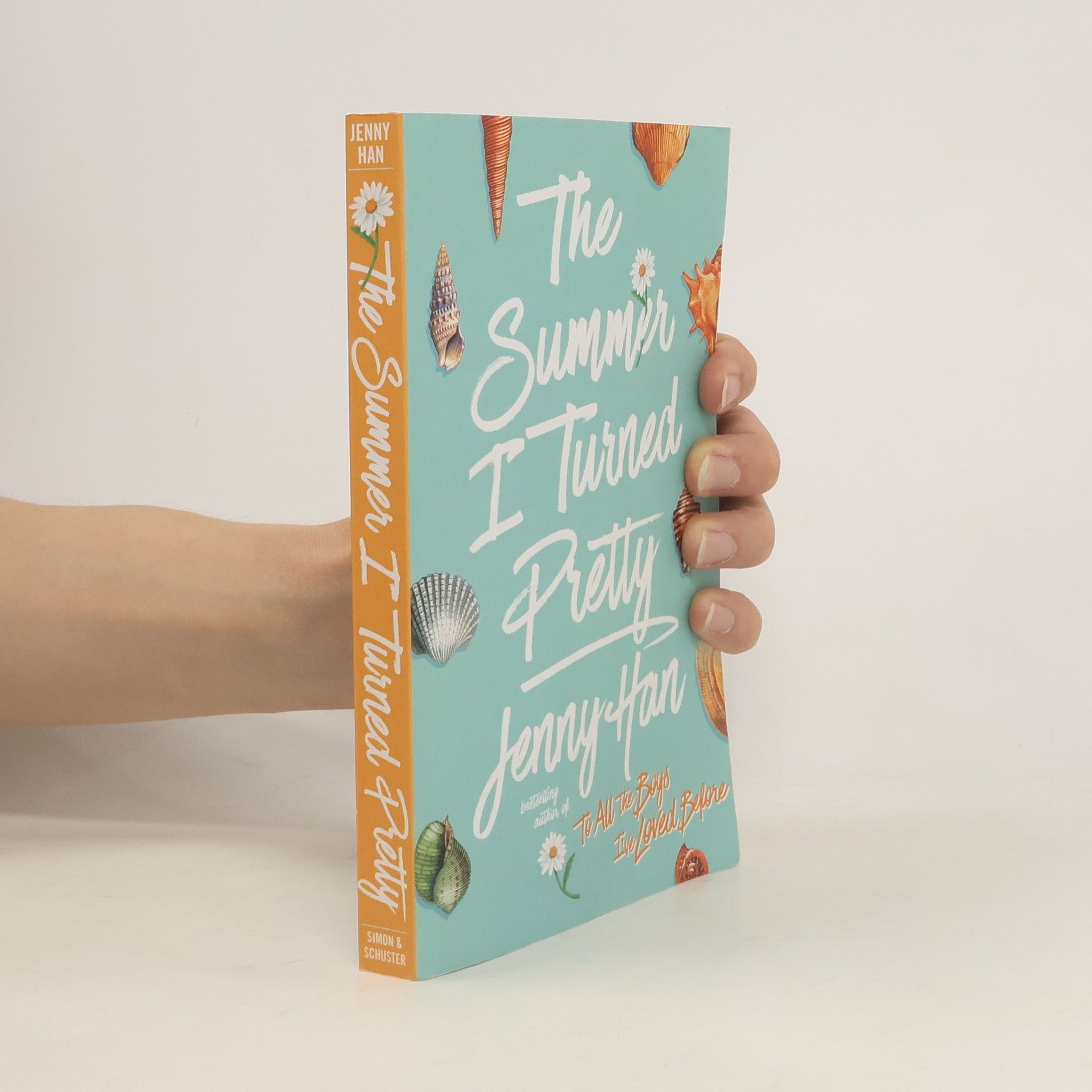 Jenny Han The Summer I Turned Pretty