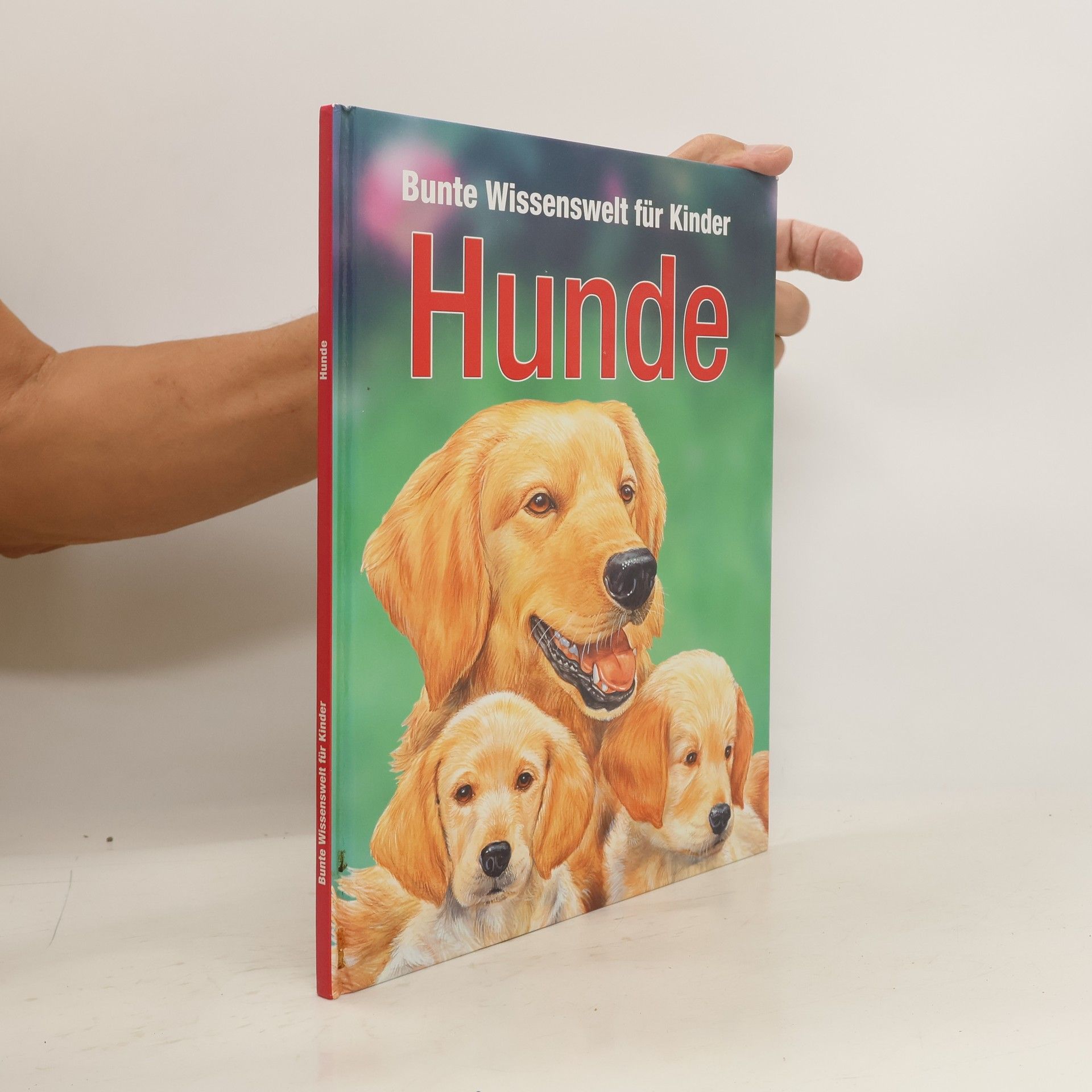 Kolektív autorov Bunte Wissenswelt für Kinder. Hunde
