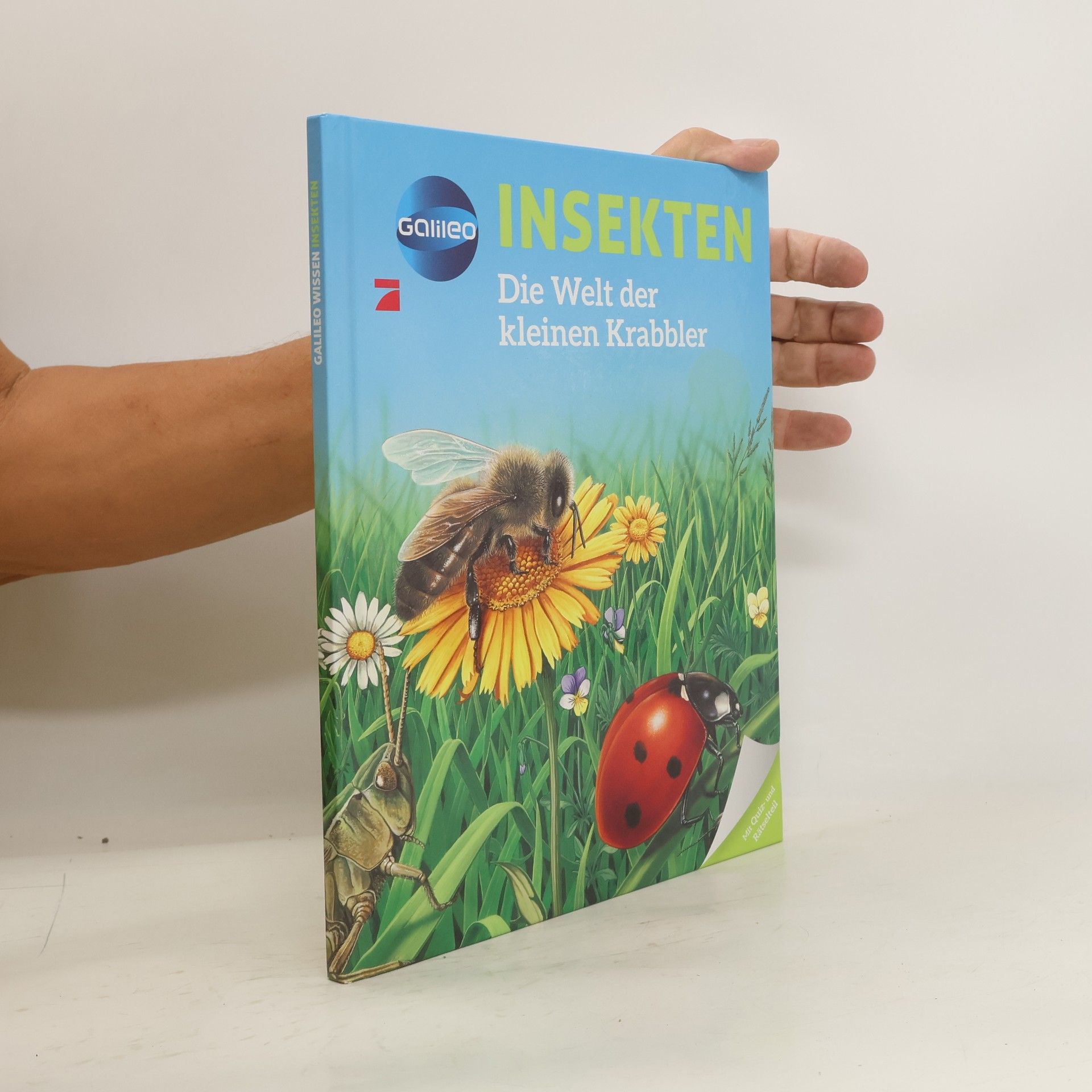 Émilie Beaumont Insekten