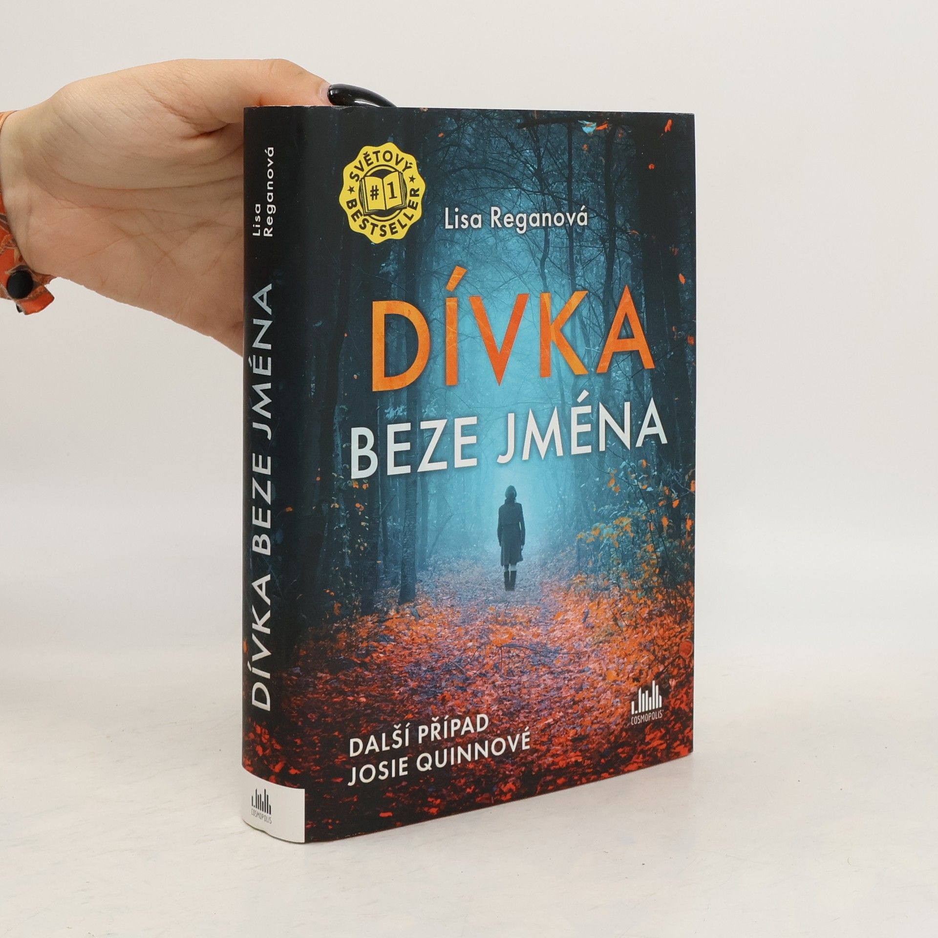 Lisa Regan Dívka beze jména: Další případ Josie Quinnové