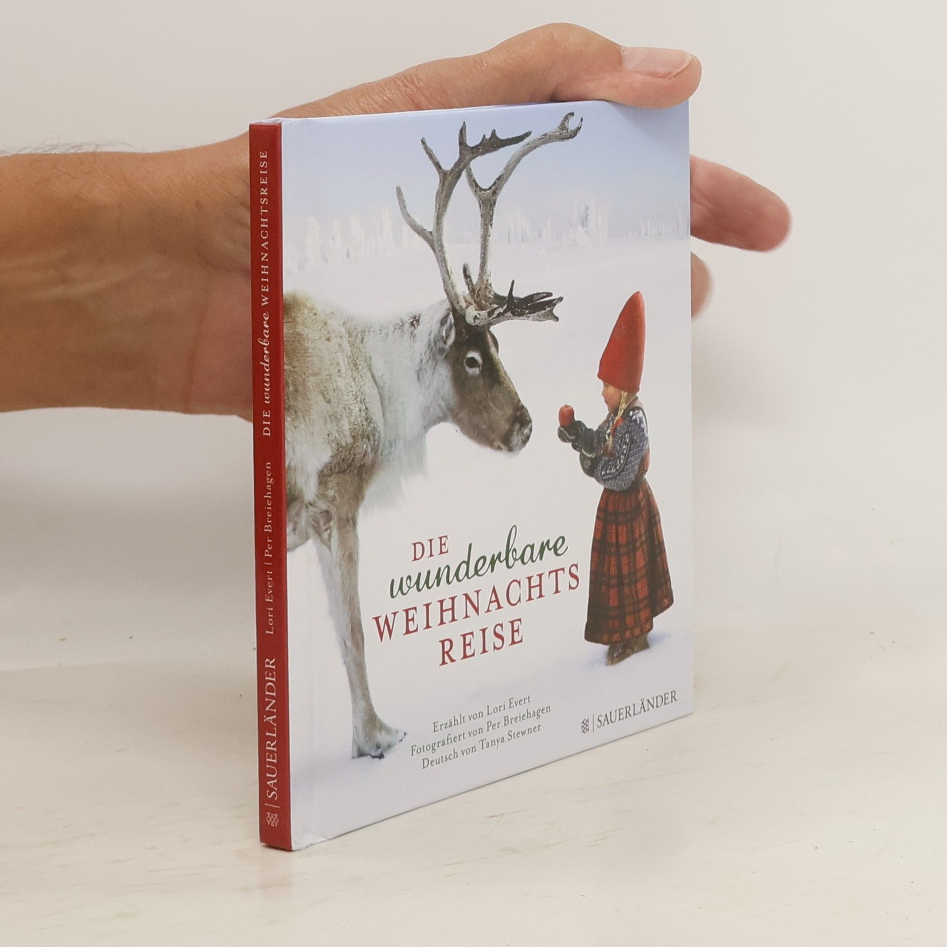 Lori Evert Die wunderbare Weihnachtsreise