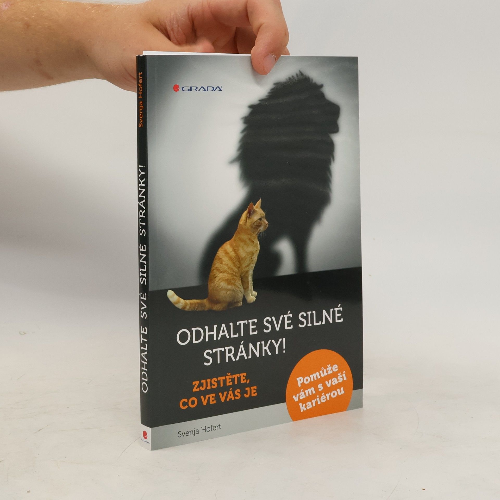 Svenja Hofert Odhalte své silné stránky! : zjistěte, co ve vás je: Pomůže vám s vaší kariérou