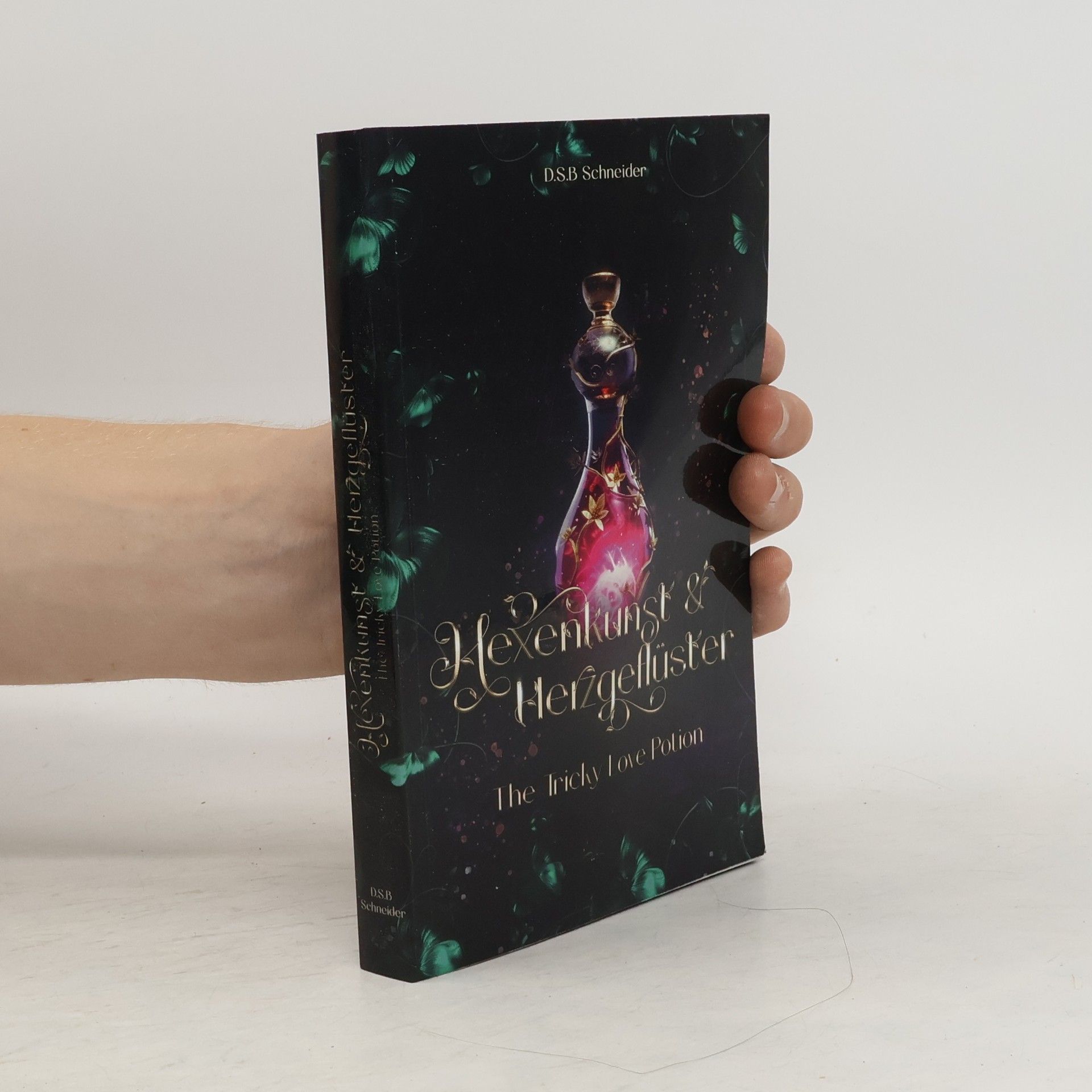 Diana S. B. Schneider Hexenkunst und Herzgeflüster