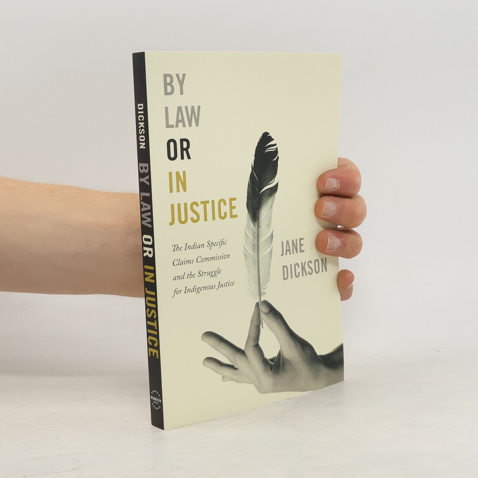 Jane Dickson By Law or In Justice