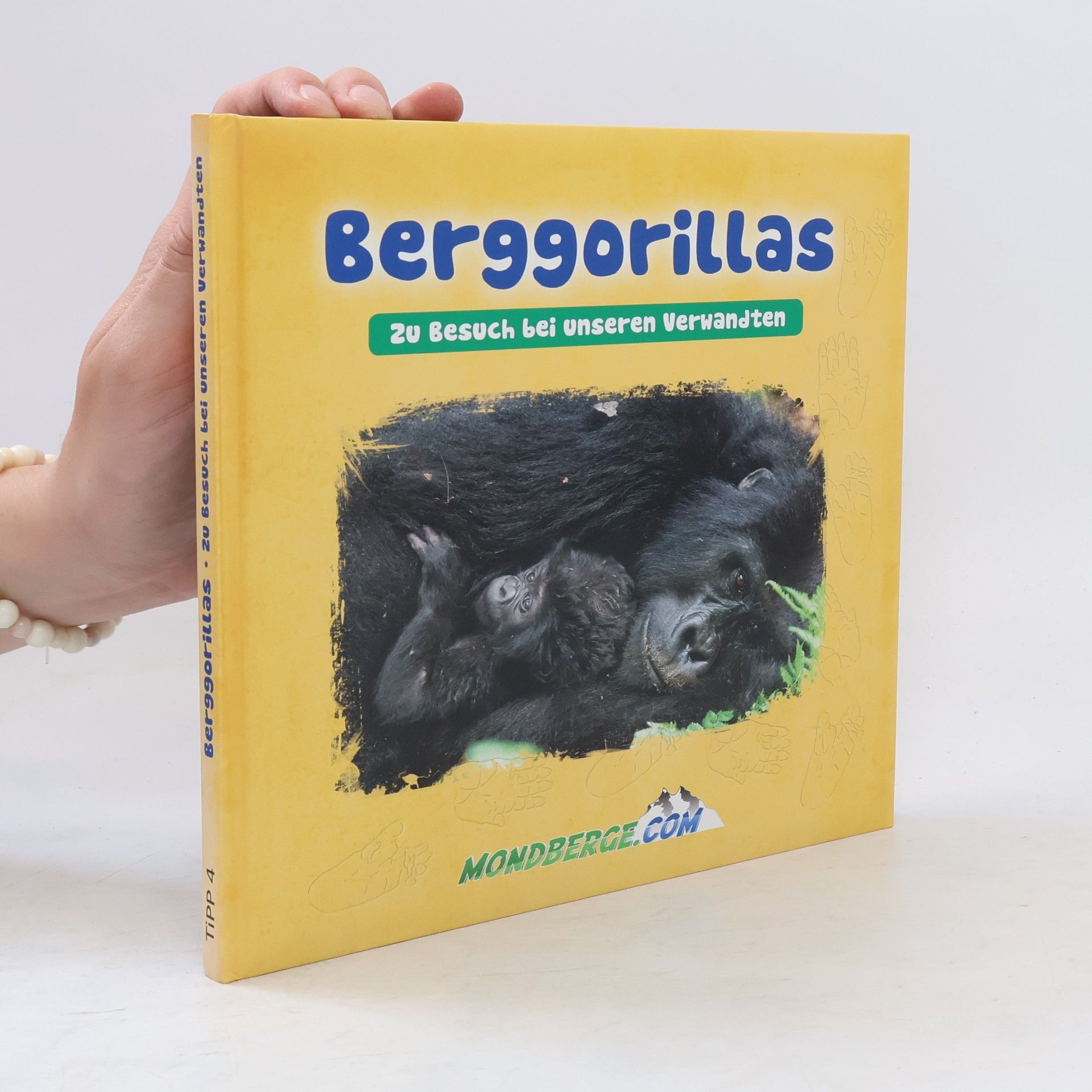 Anja Klotz Berggorillas