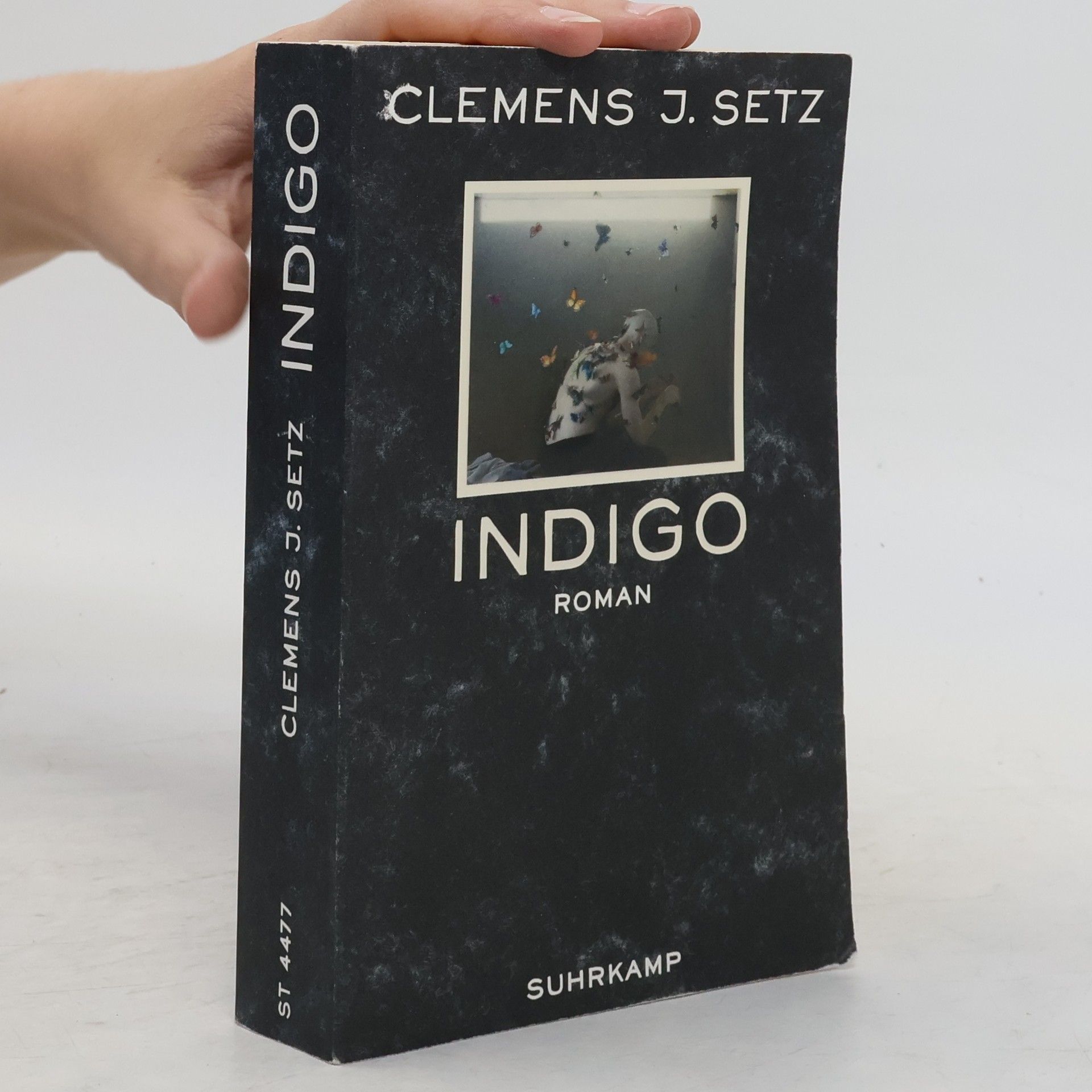 Clemens J. Setz Indigo
