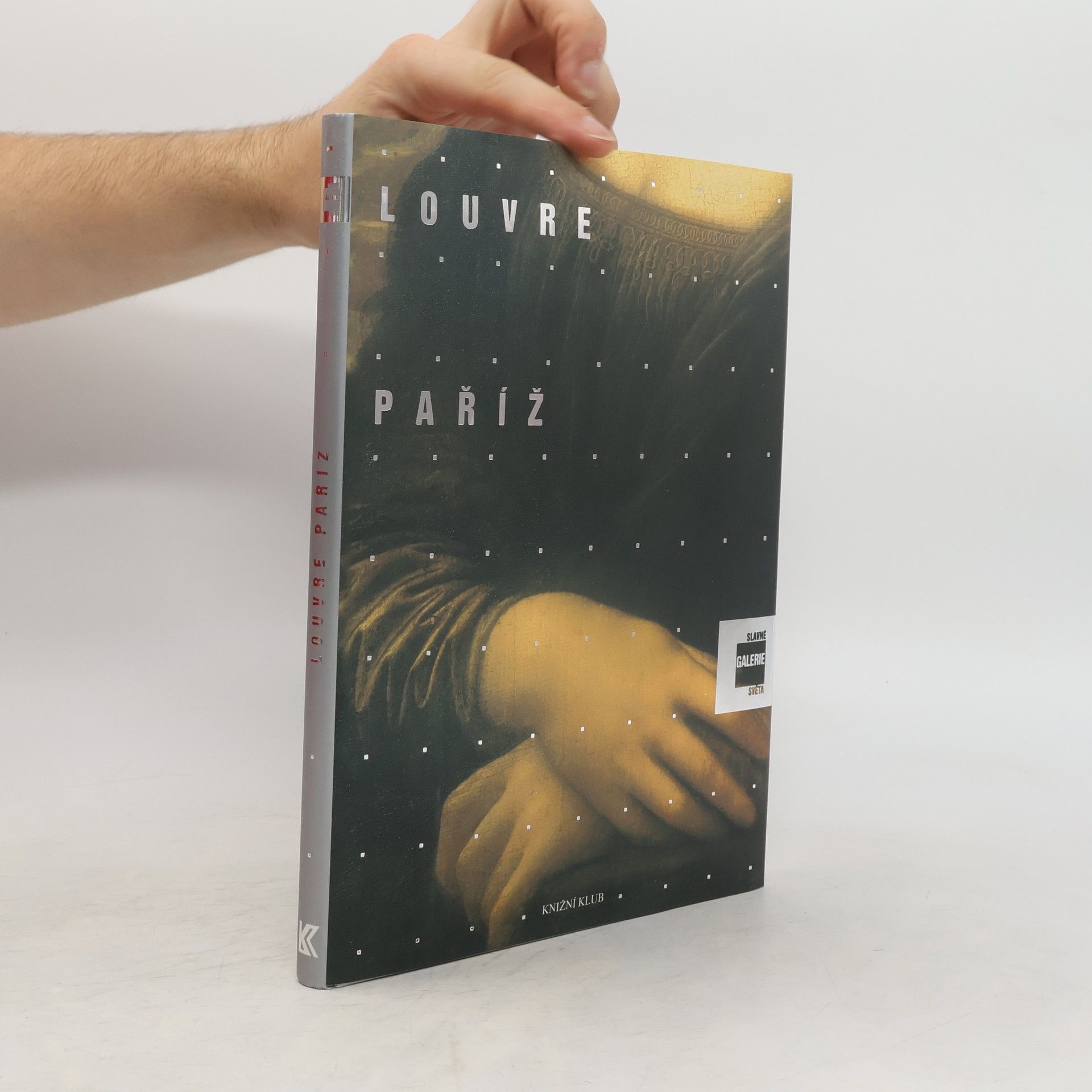 Alessandra Fregolent Slavné galerie světa. Louvre - Paříž