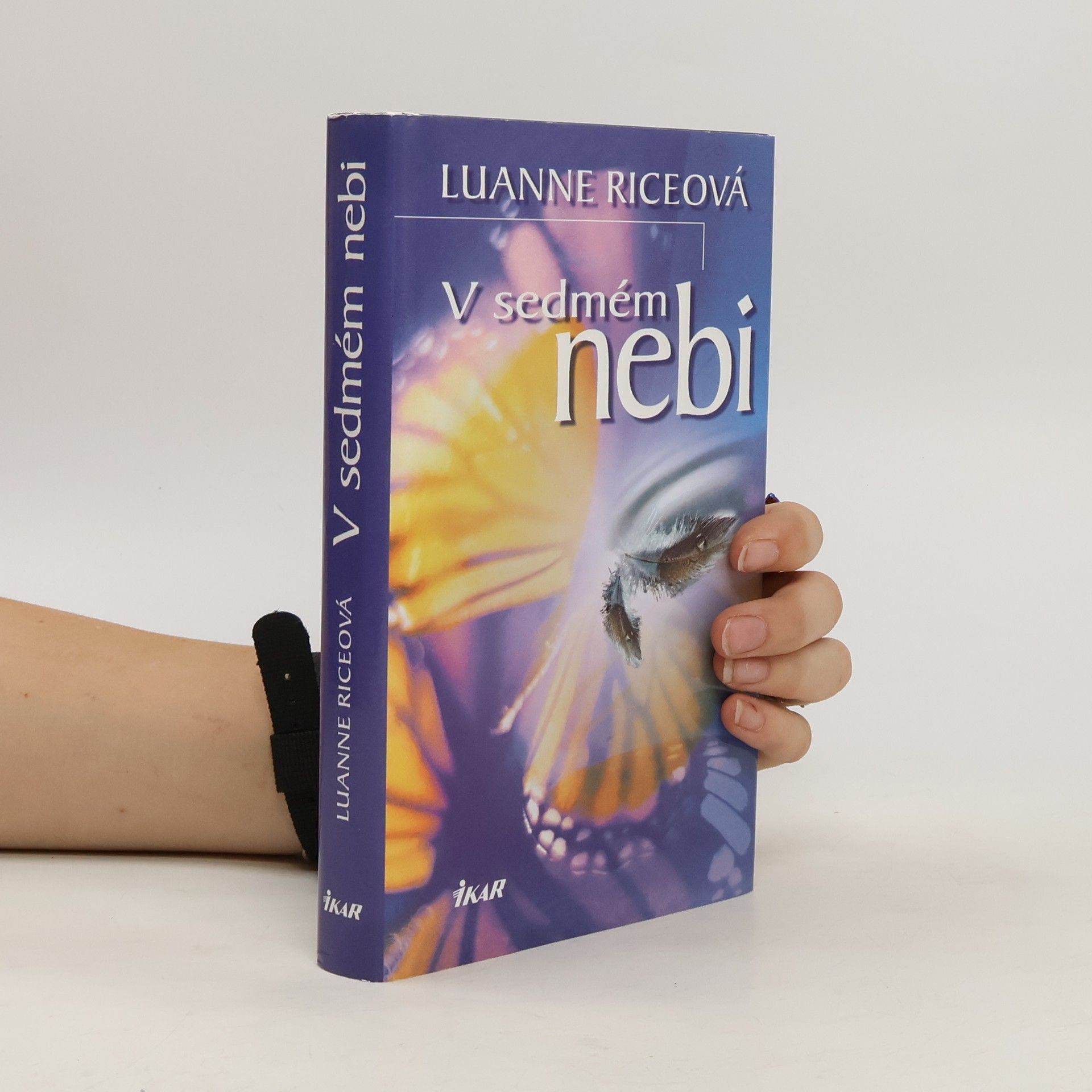Luanne Rice V sedmém nebi
