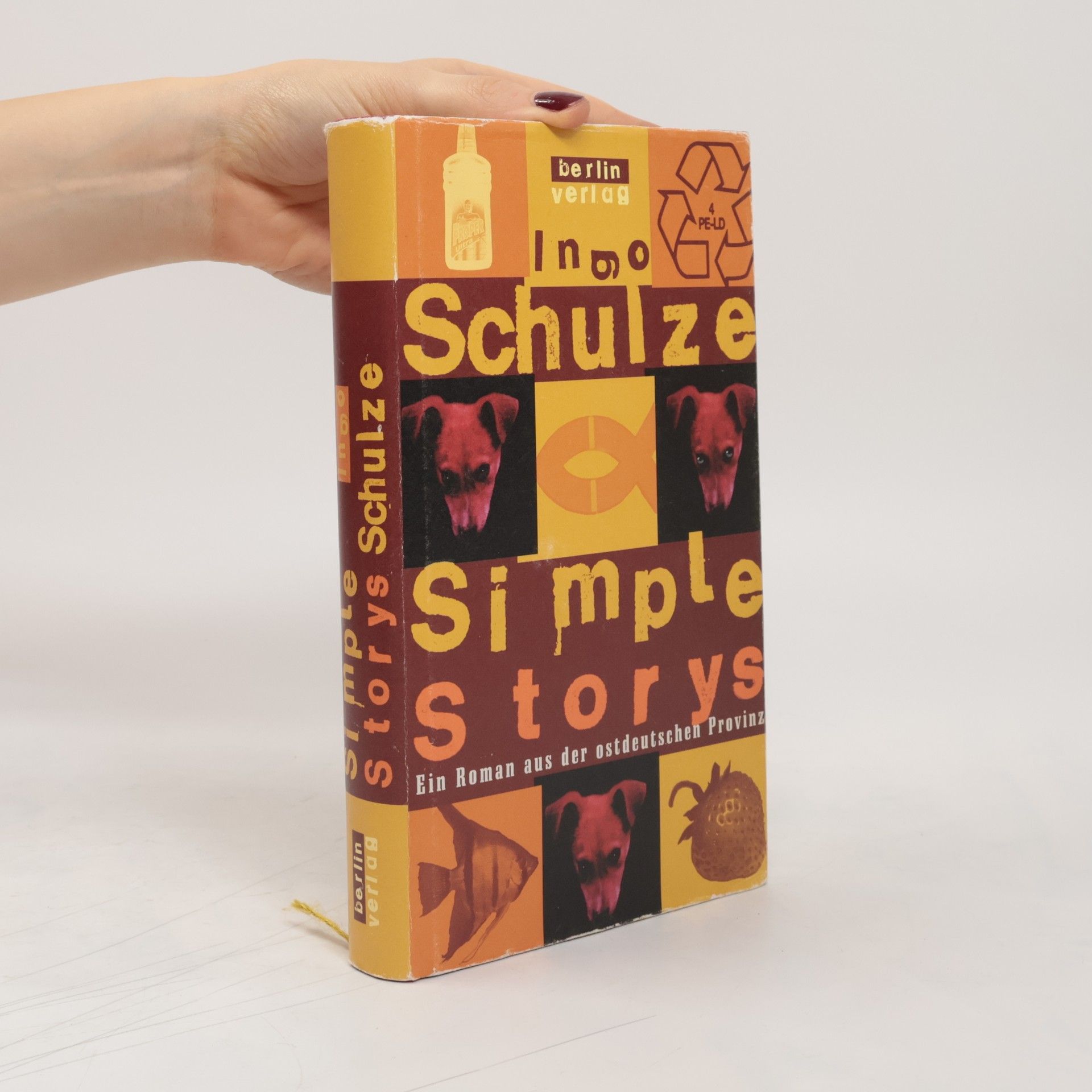 Ingo Schulze Simple Storys