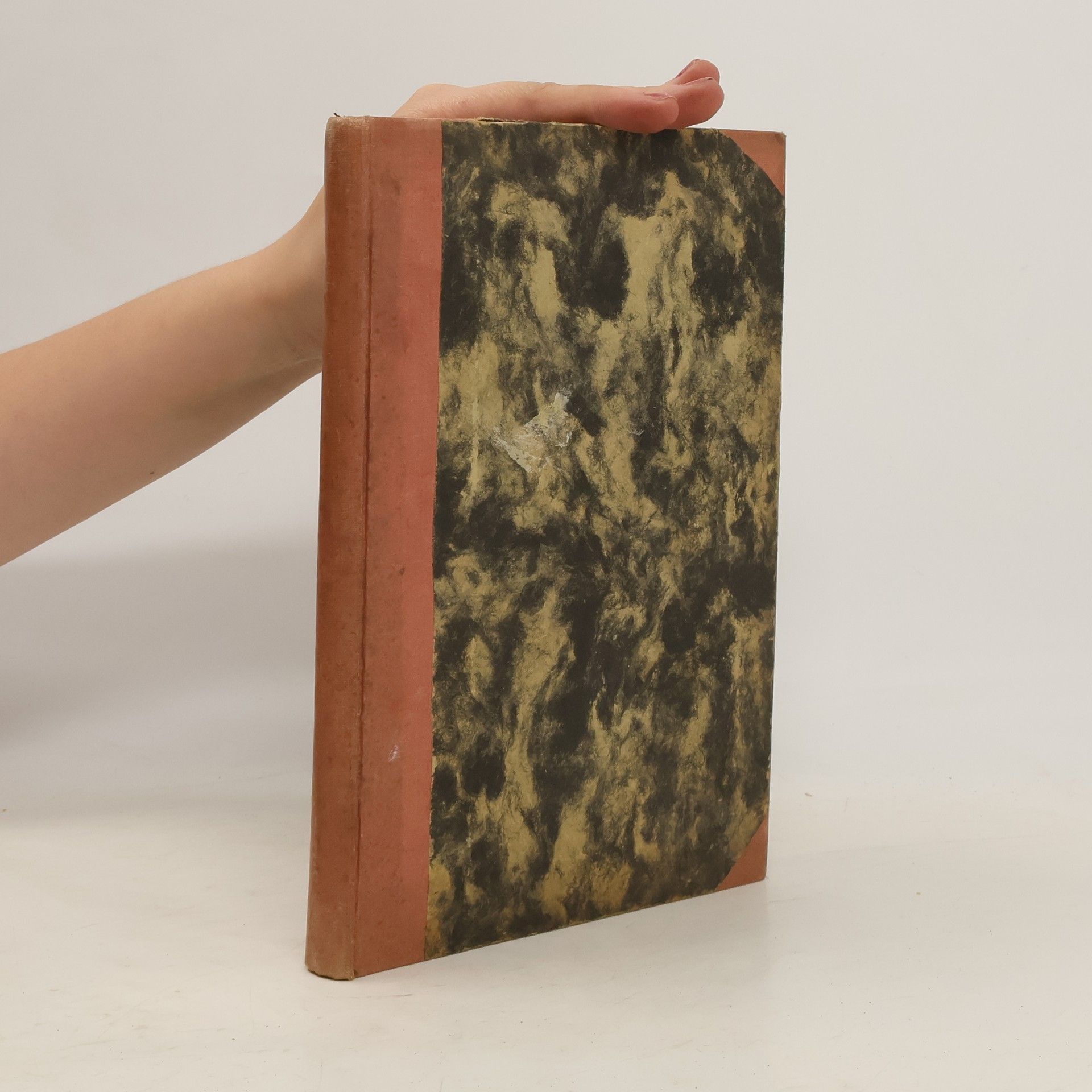 Zdeněk Kalina Neznámá sokyně