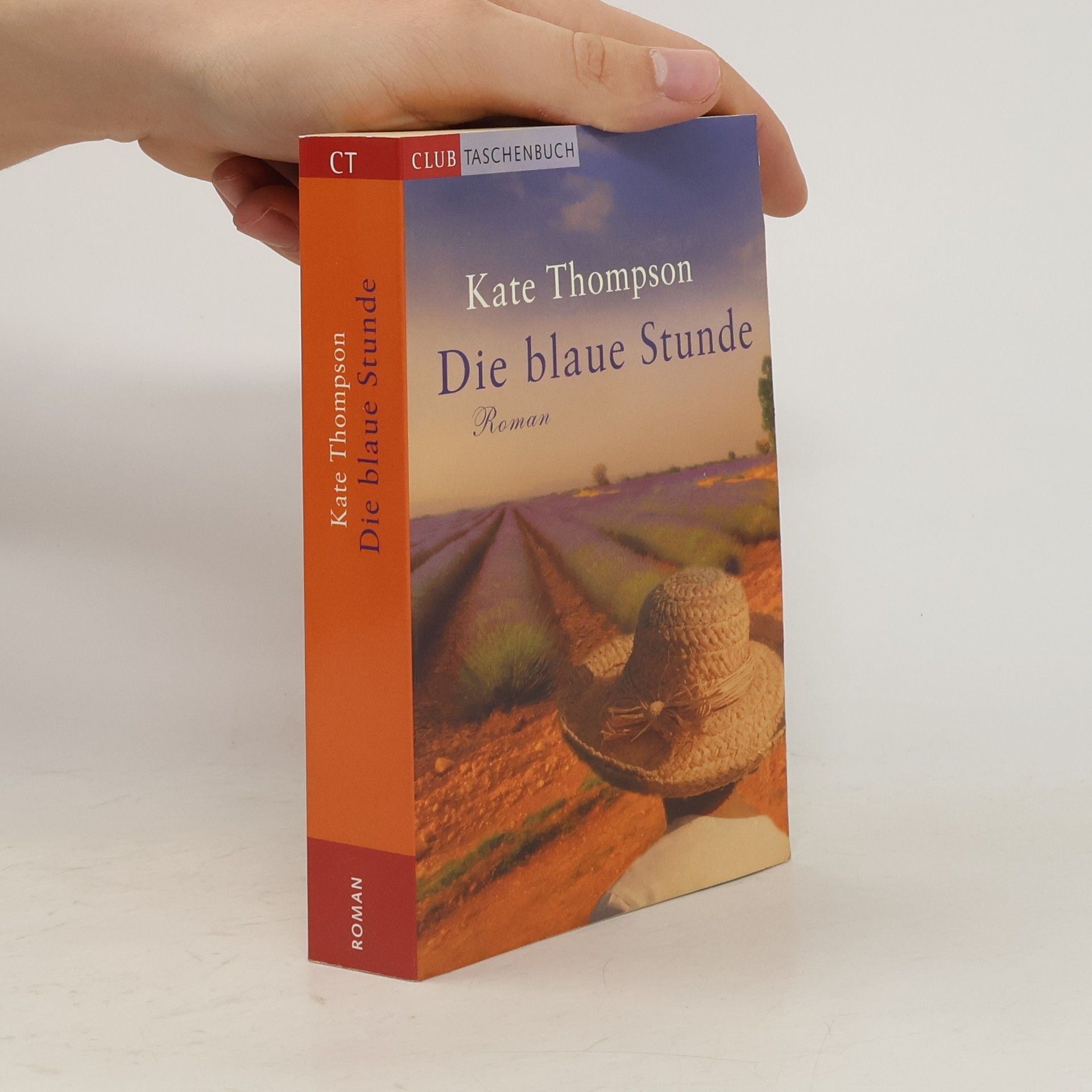Kate Thompson Die blaue Stunde