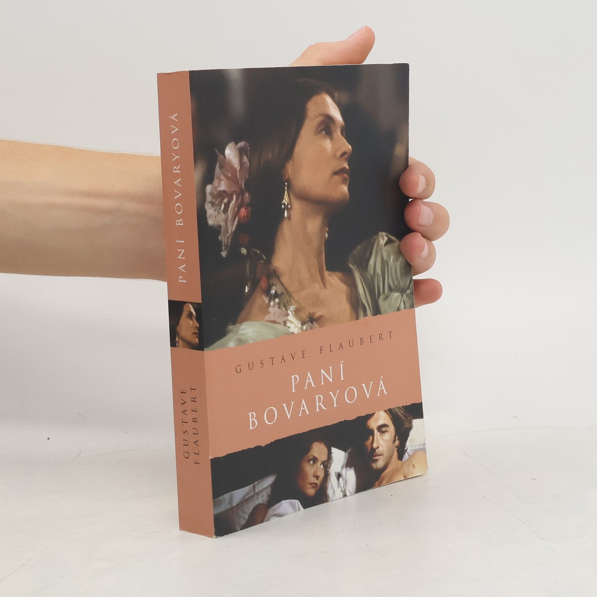 Gustave Flaubert Paní Bovaryová
