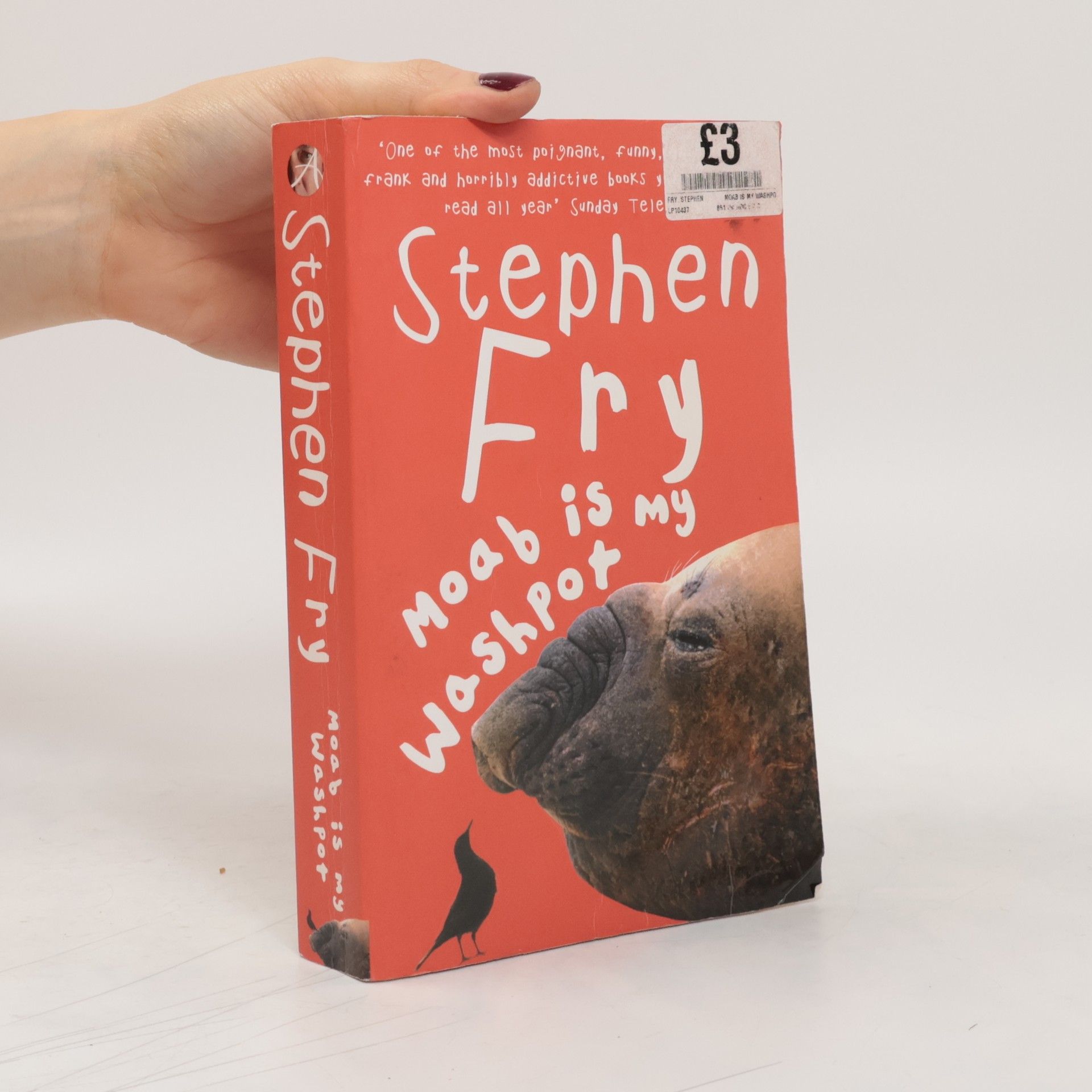 Stephen Fry Moab is My Washpot