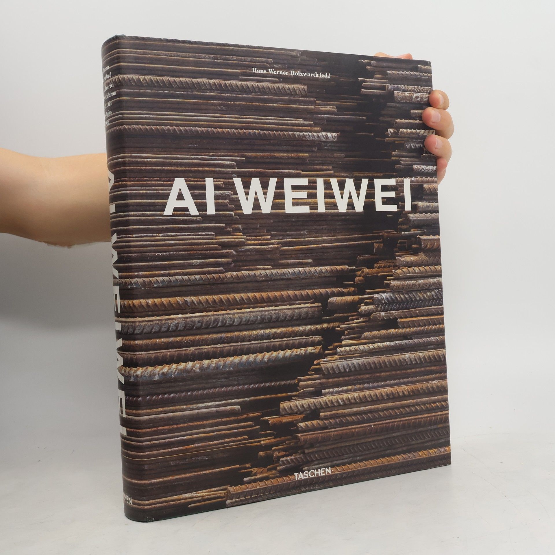 Hans Werner Holzwarth Ai Weiwei