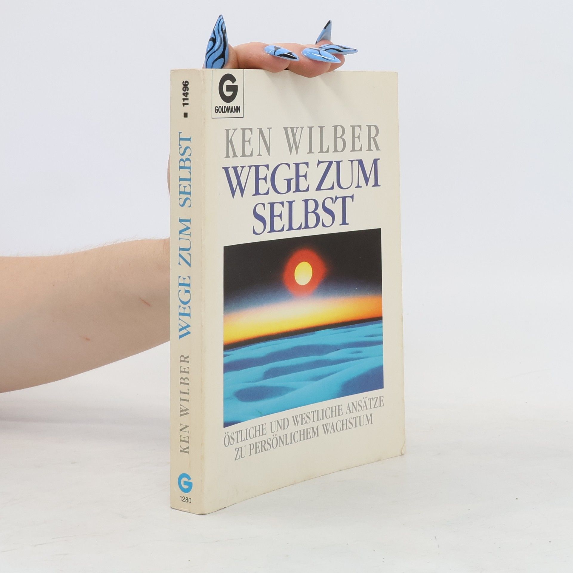 Ken Wilber Wege zum Selbst