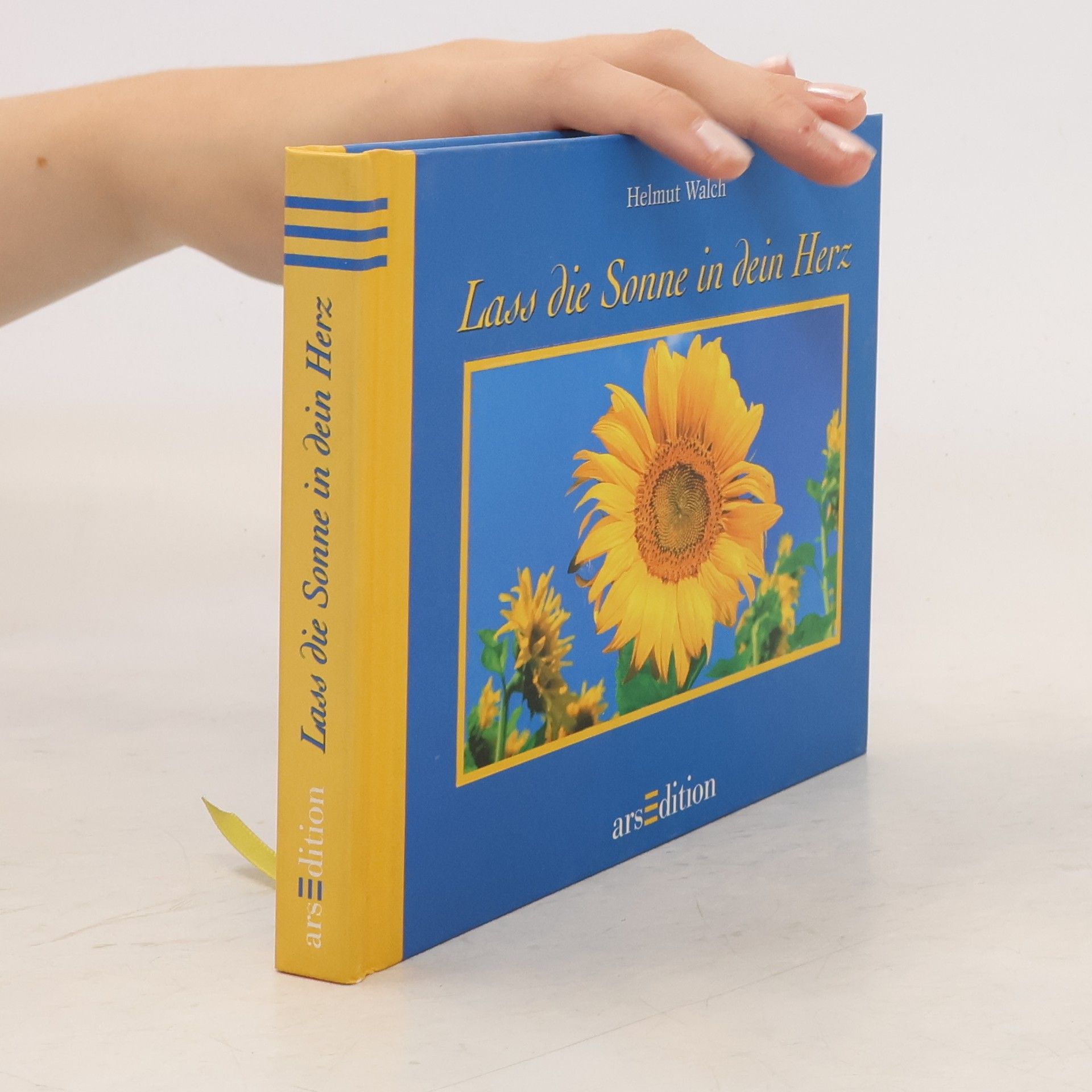 Simone Bahmann Laß die Sonne in Dein Herz