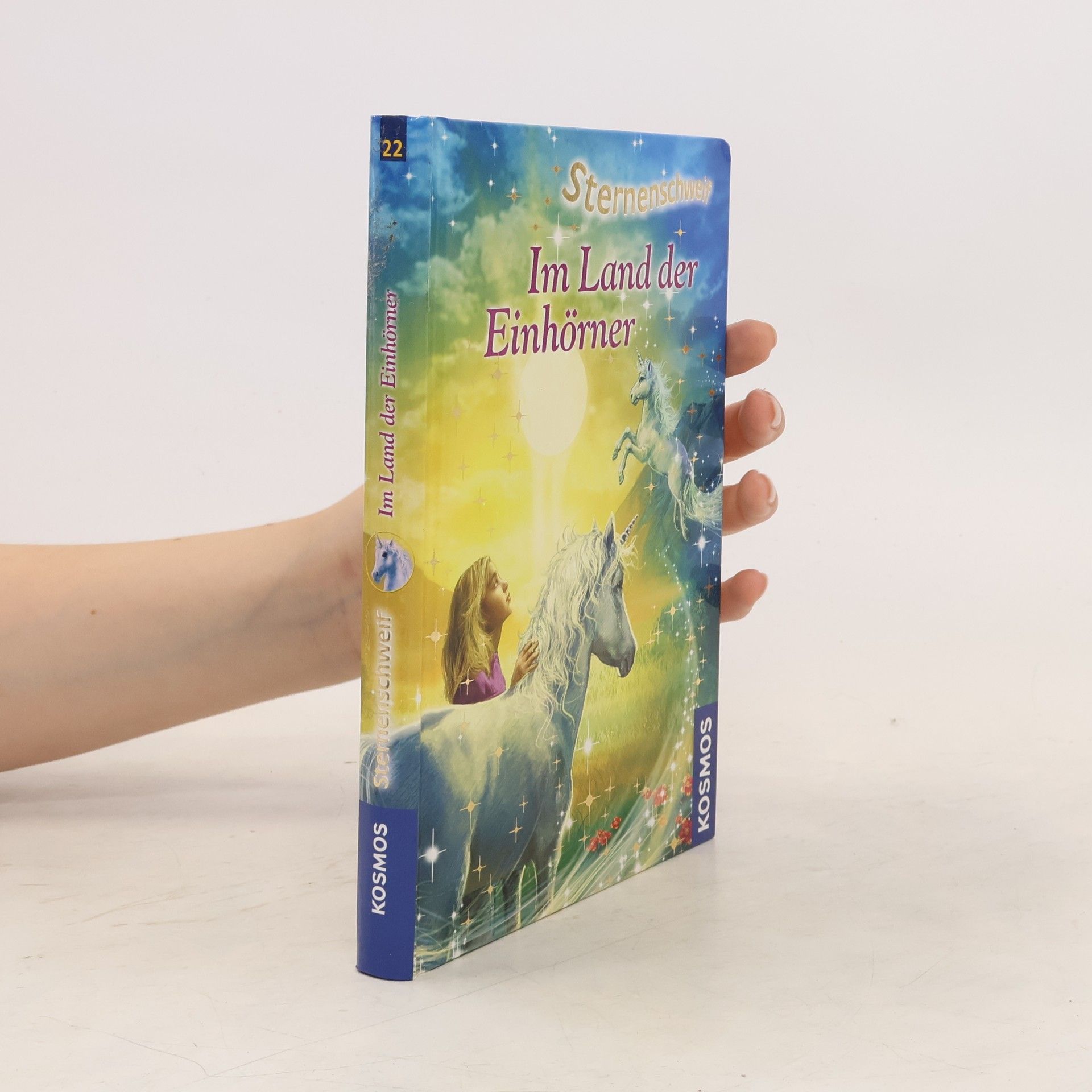 Ina Brandt Im Land der Einhörner