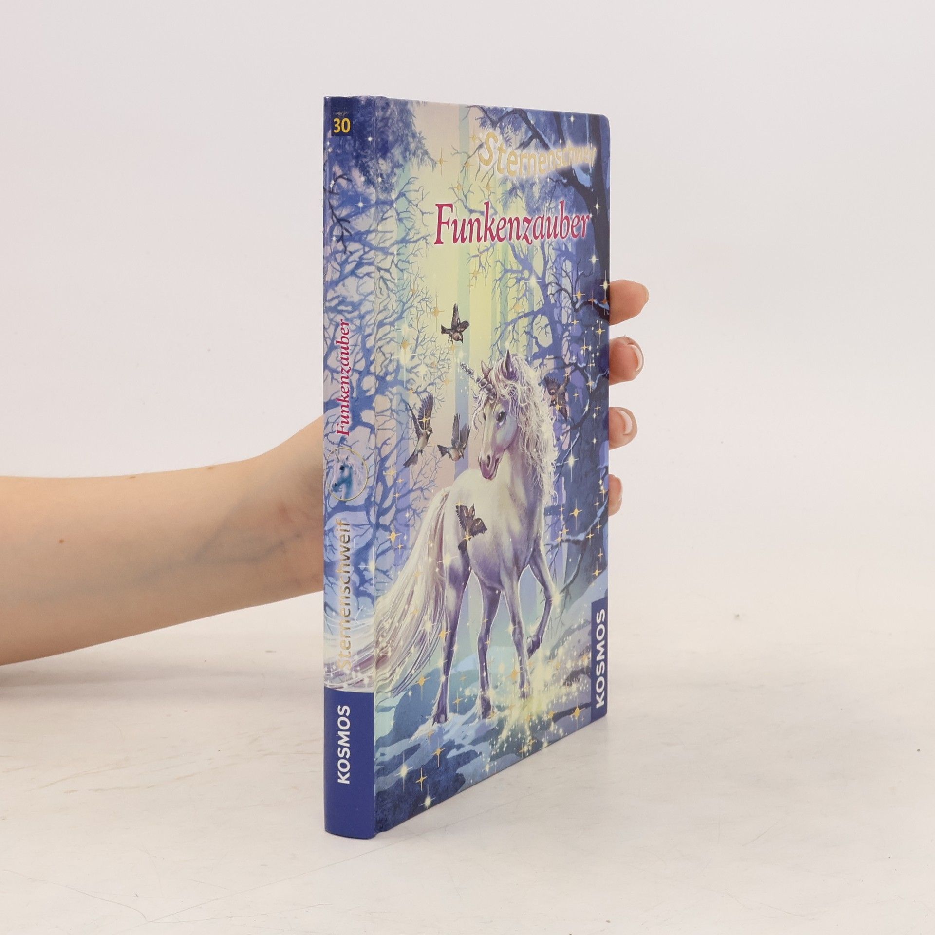 Linda Chapman Sternenschweif. Funkenzauber 31