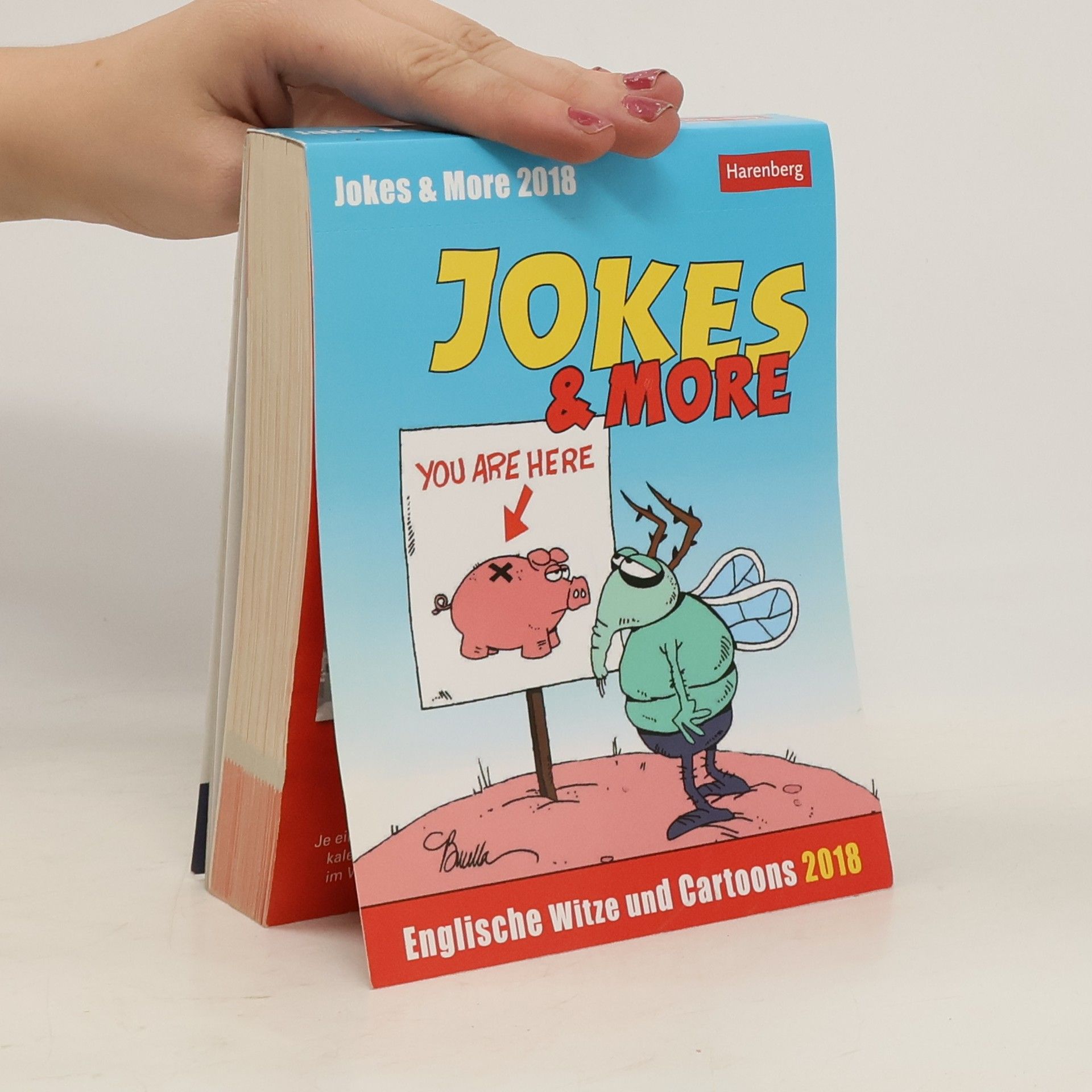 Autorenkollektiv Jokes & More - Kalender 2018
