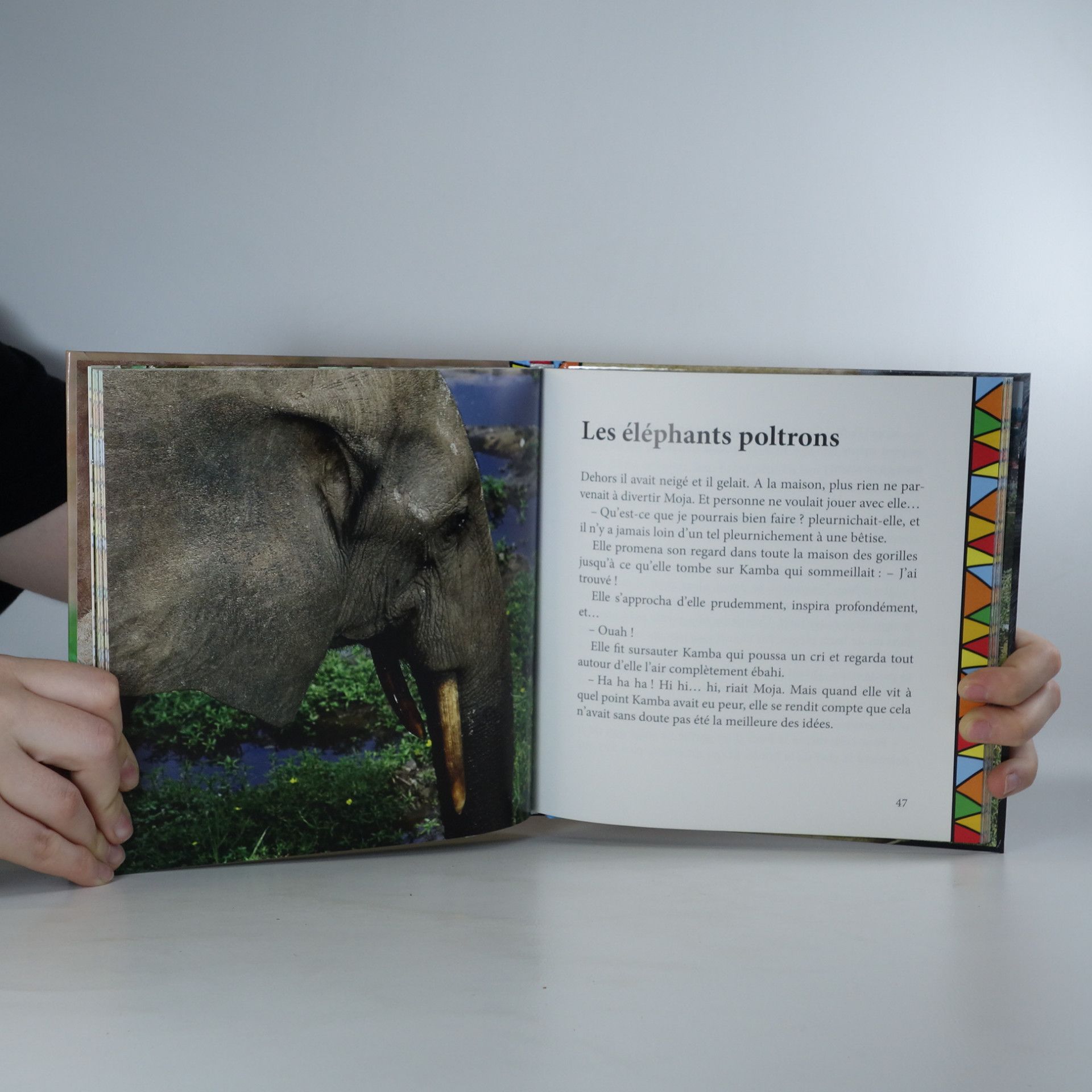 Tereza Šefrnová Histoires de Gorilles