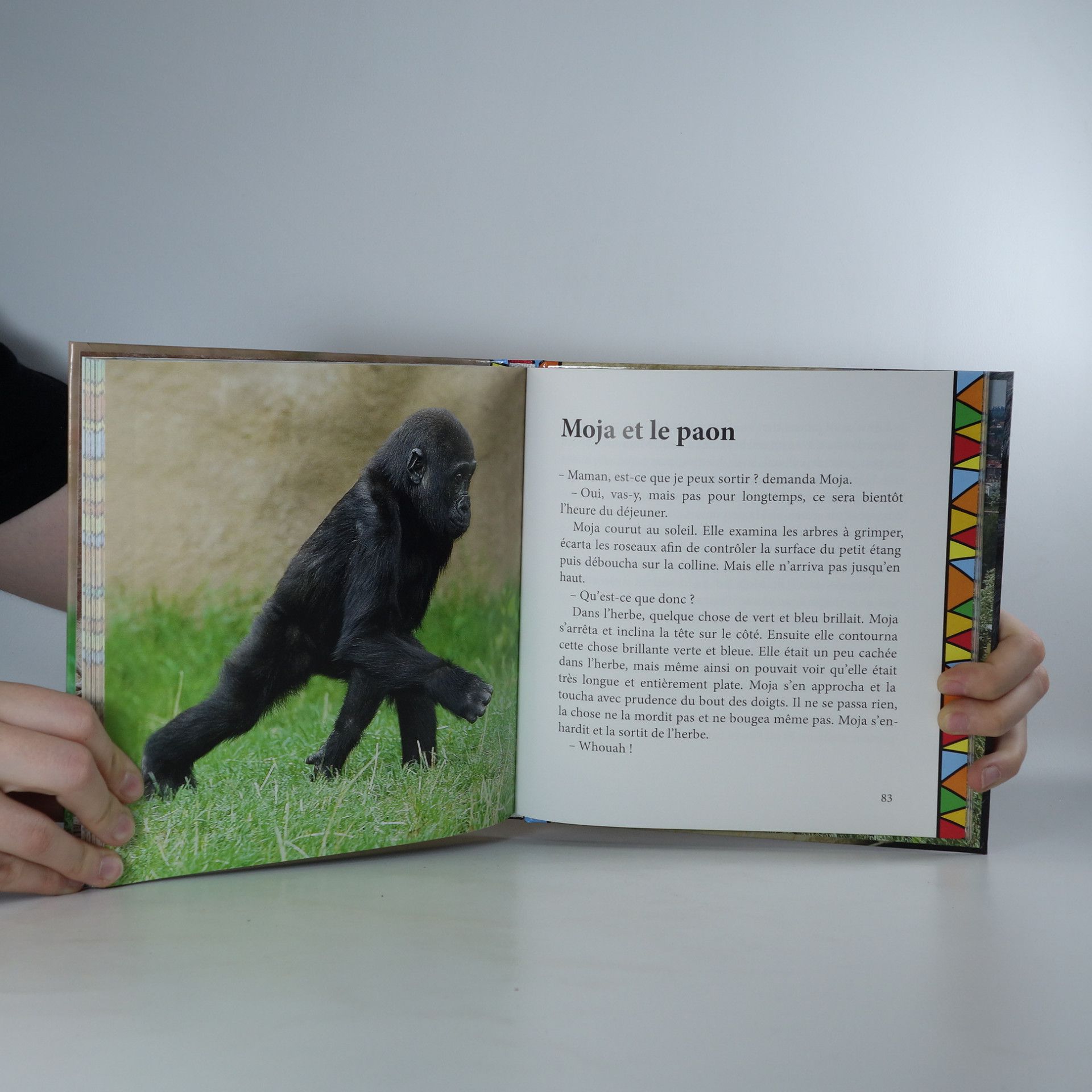 Tereza Šefrnová Histoires de Gorilles