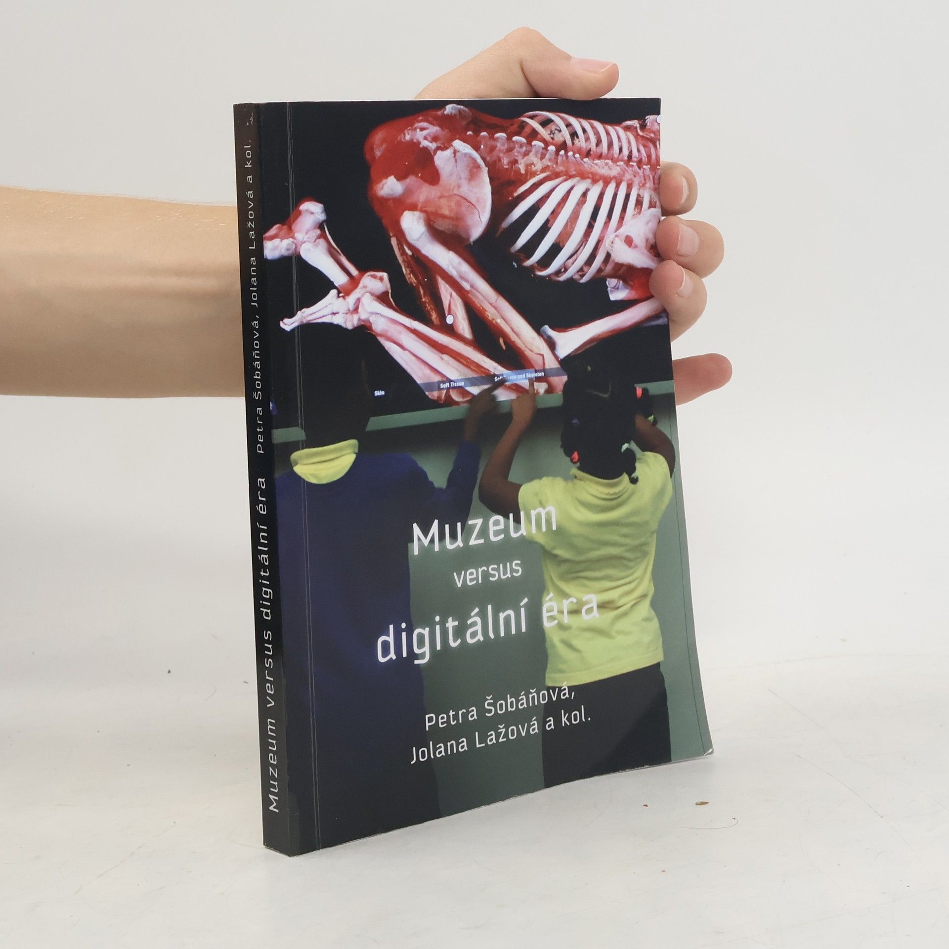 Petra Šobáňová Muzeum versus digitální éra