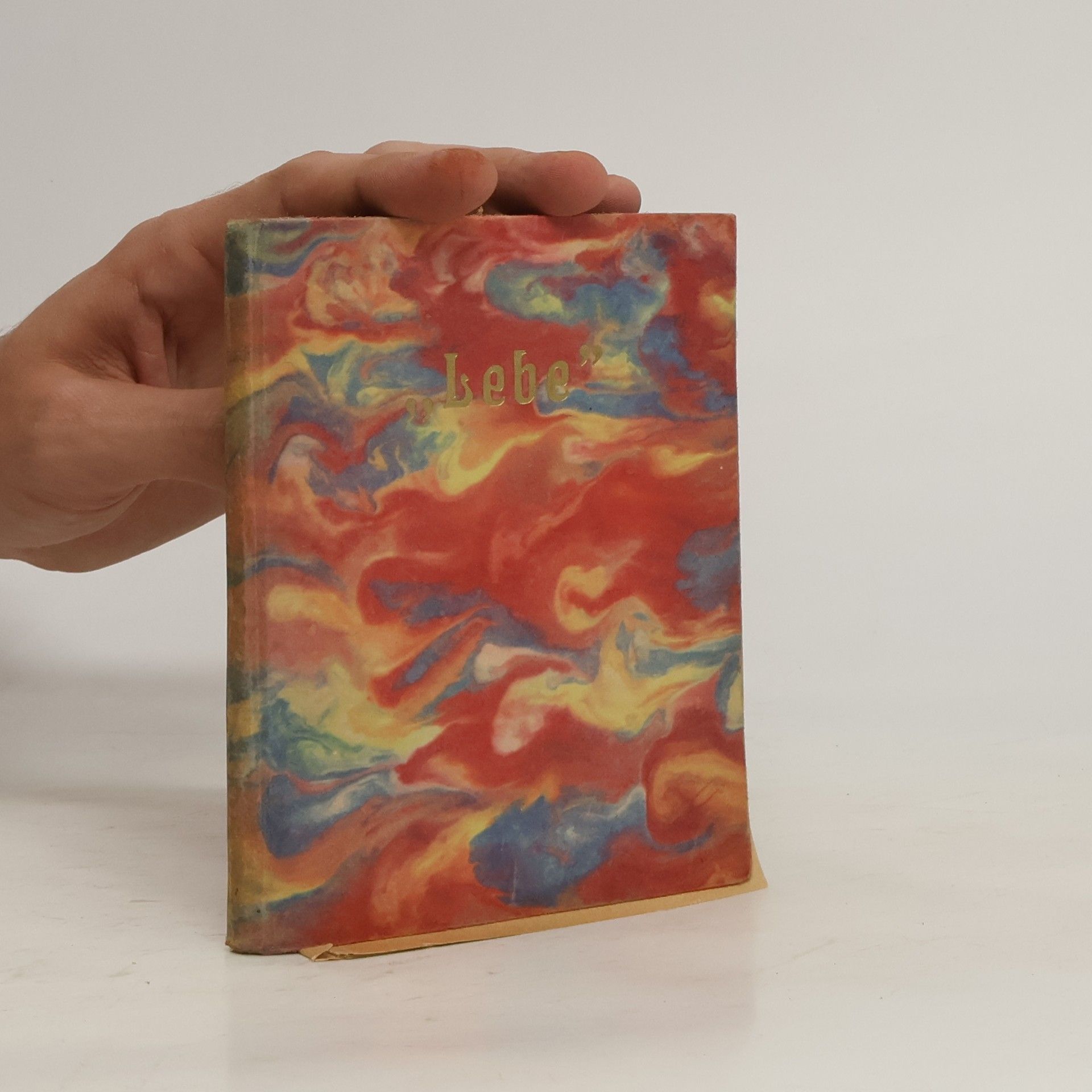 Ernst Köhler-Haußen Mein Jahrbuch "Lebe"