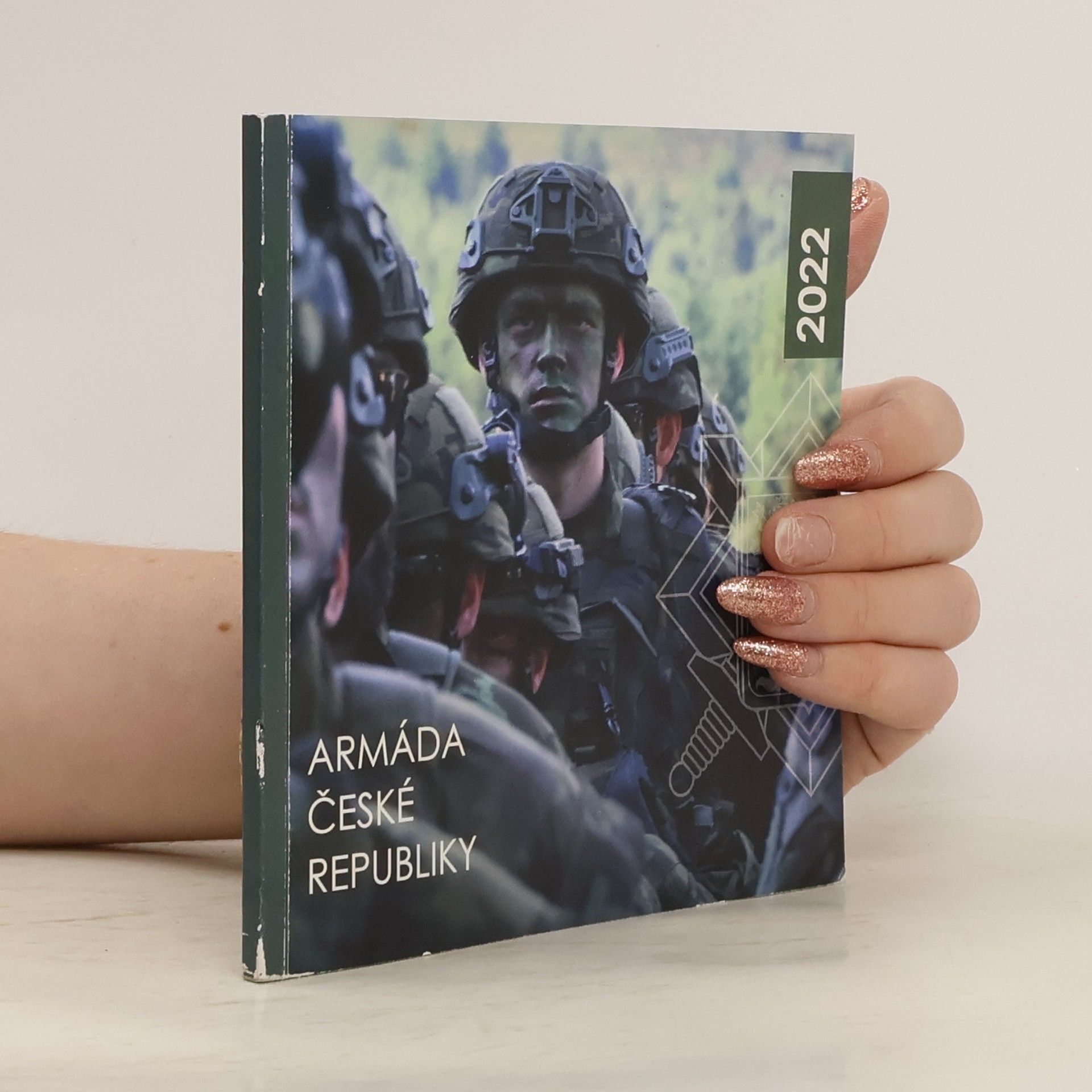 Kolektív autorov Armáda České republiky v roce 2022