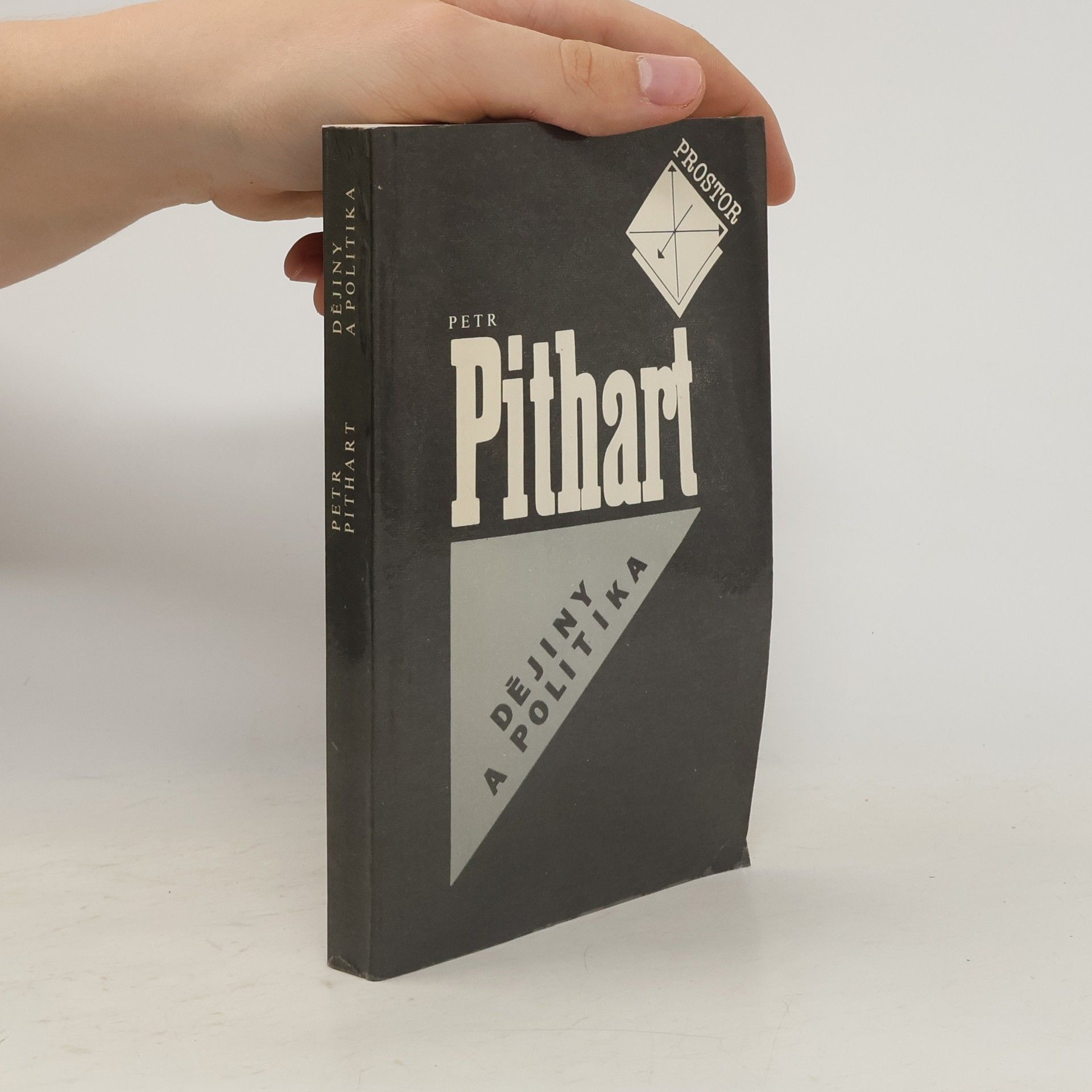 Dějiny a politika. Eseje a úvahy z let 1977 - 1989