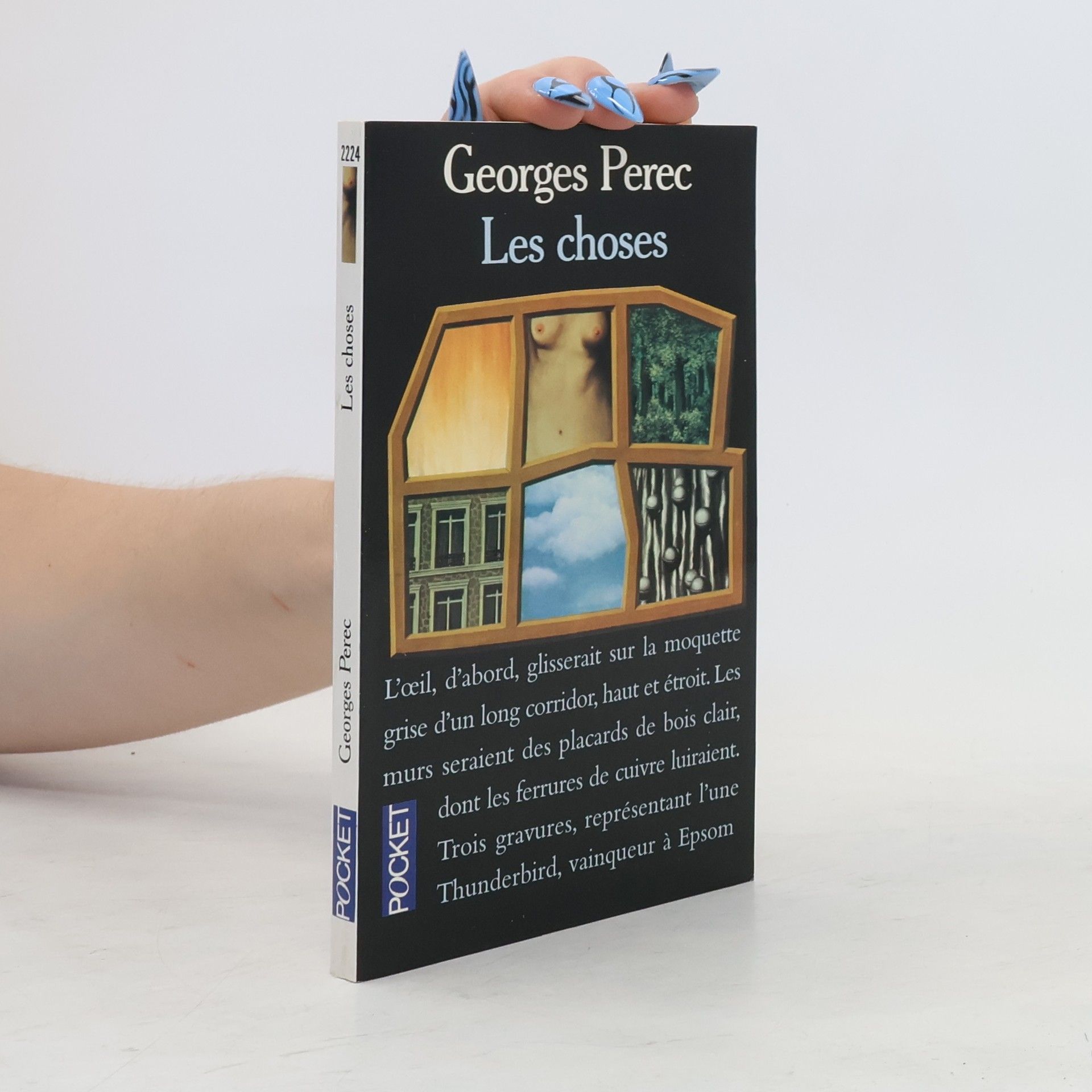 Georges Perec Les choses