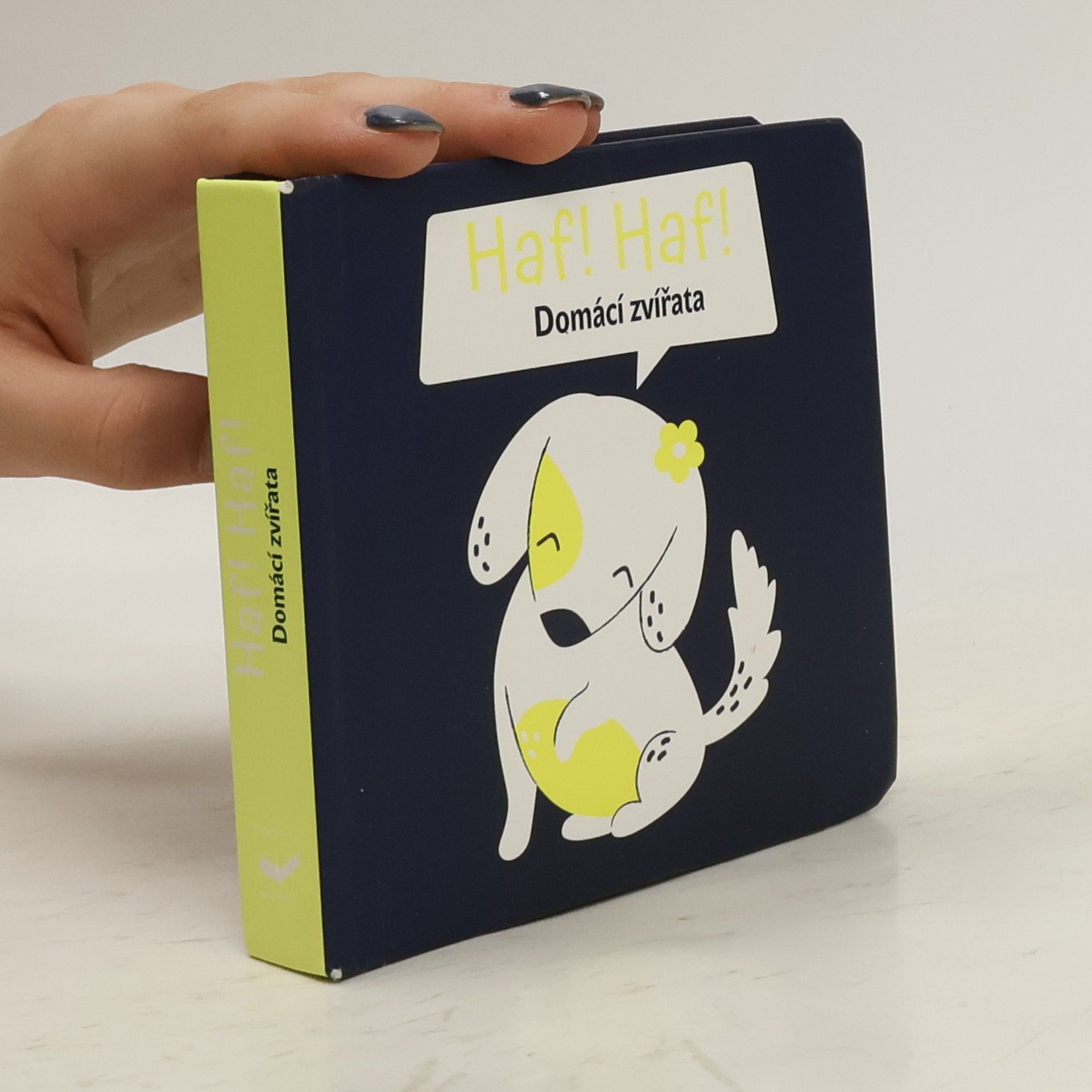 Autores varios Haf Haf! Domácí zvířata