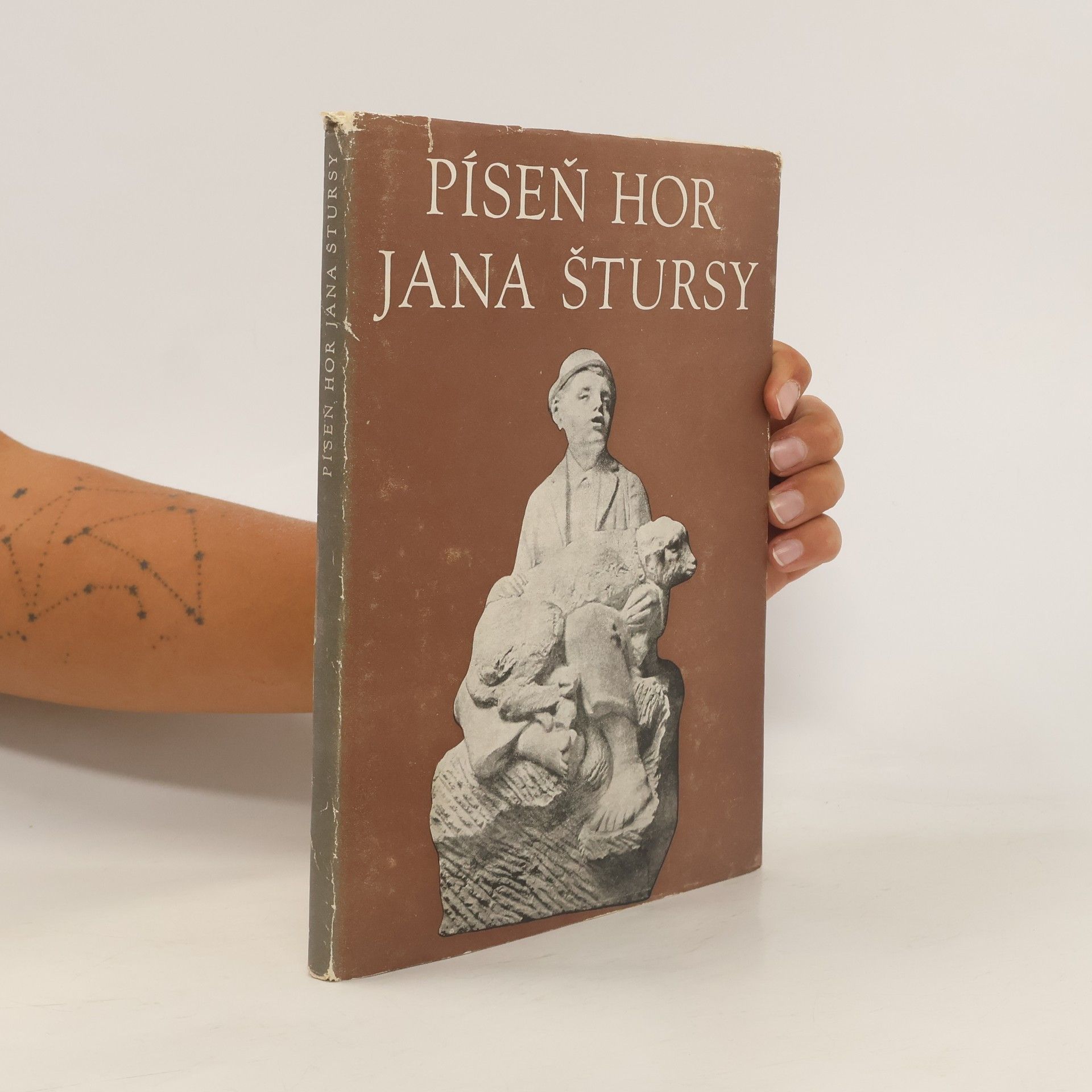 Jiří Šebek Píseň hor Jana Štursy